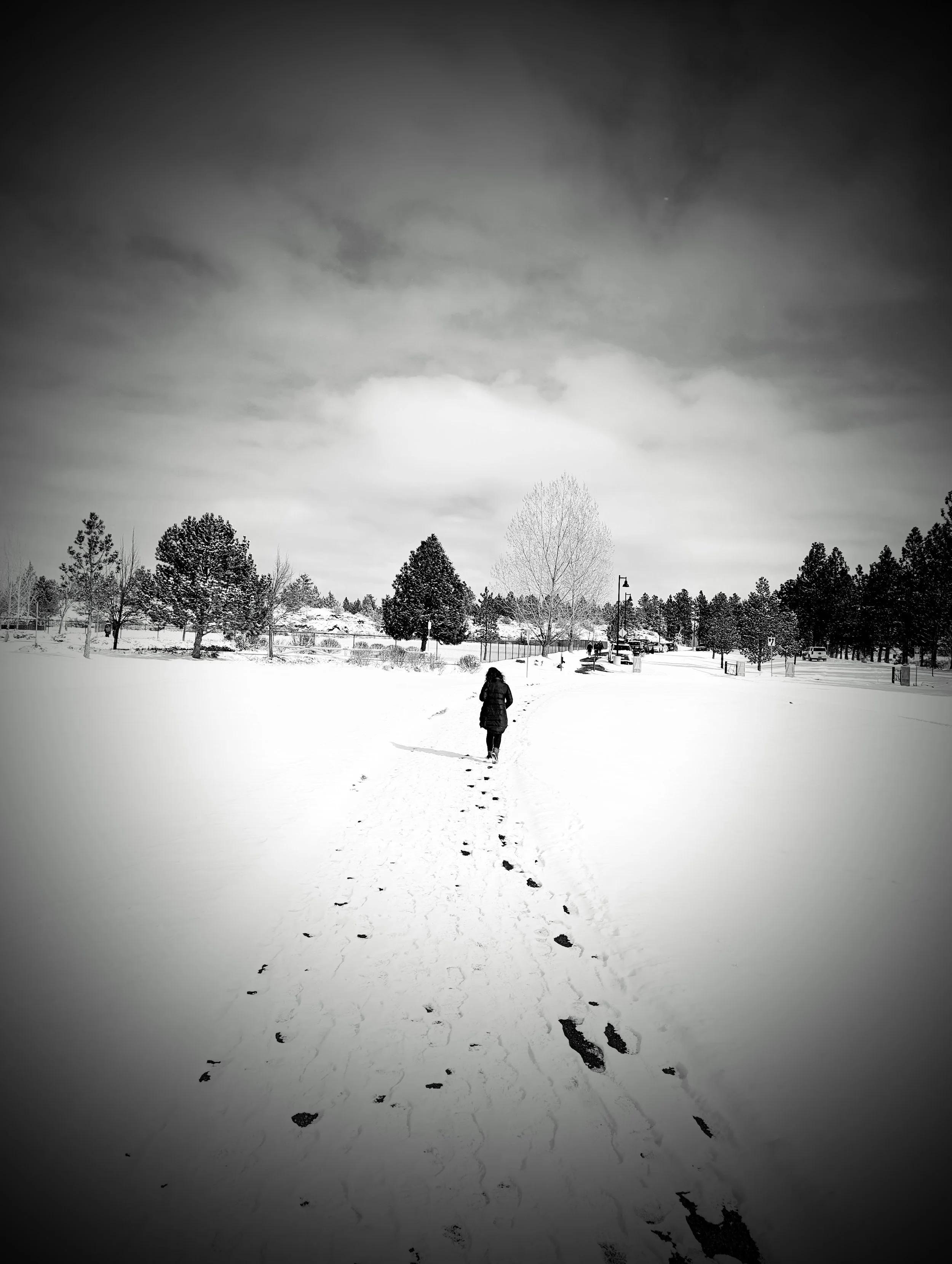 Compositon - Geoff Rhodes - 2023 (14).jpg