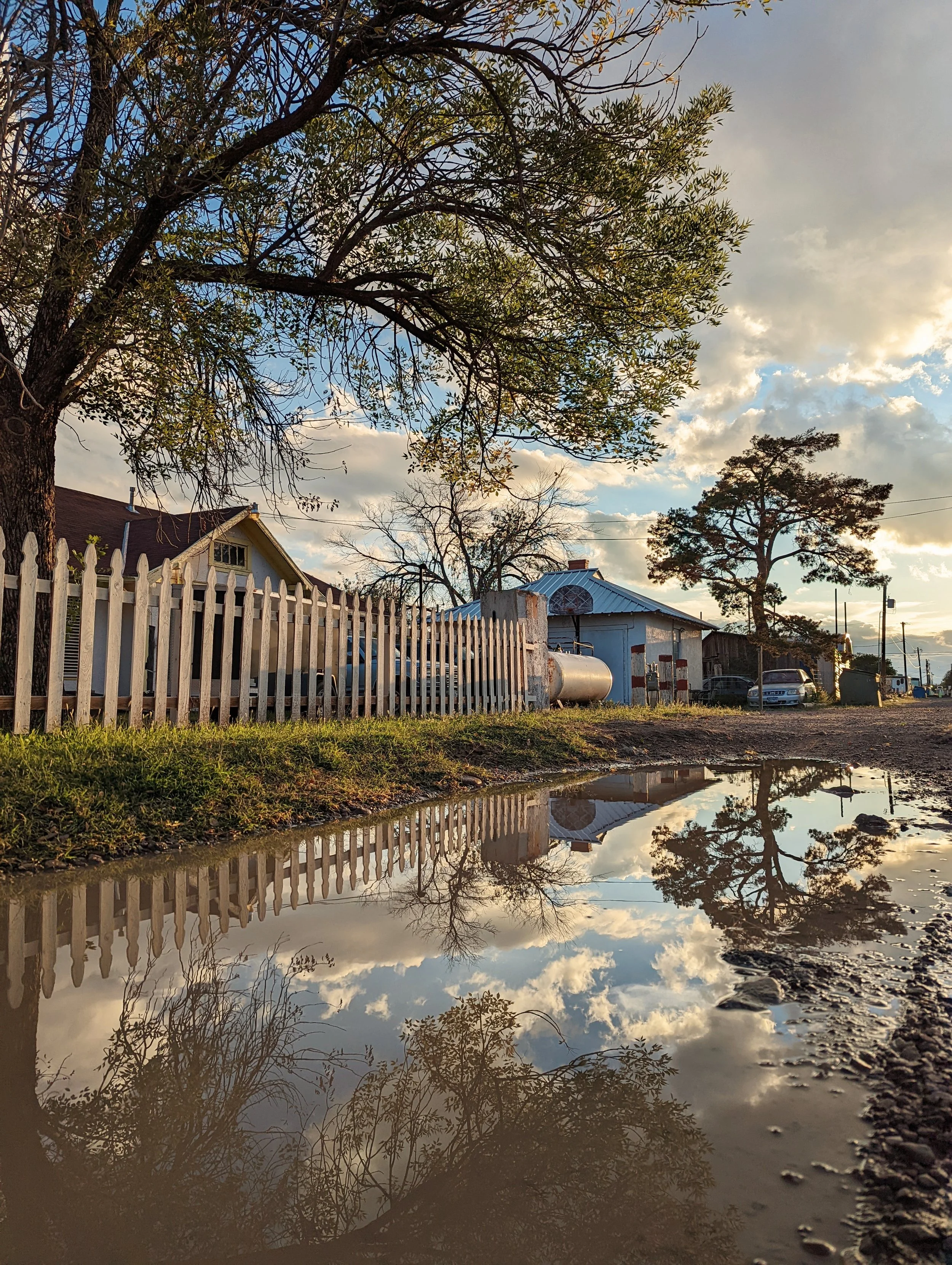 The World Around Me - Geoff Rhodes  (32).jpg