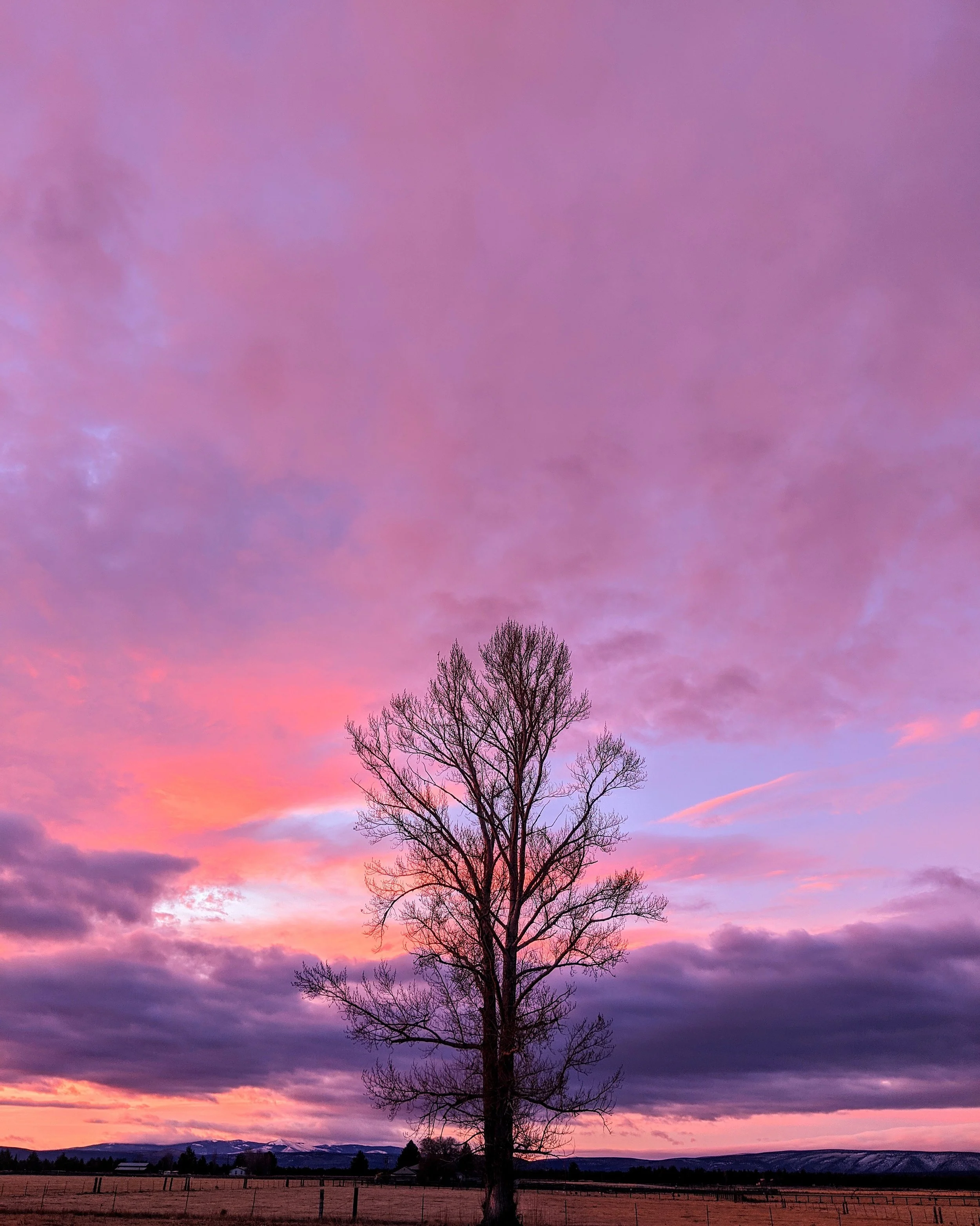 Killer Sunsets - Geoff Rhodes (118).jpg