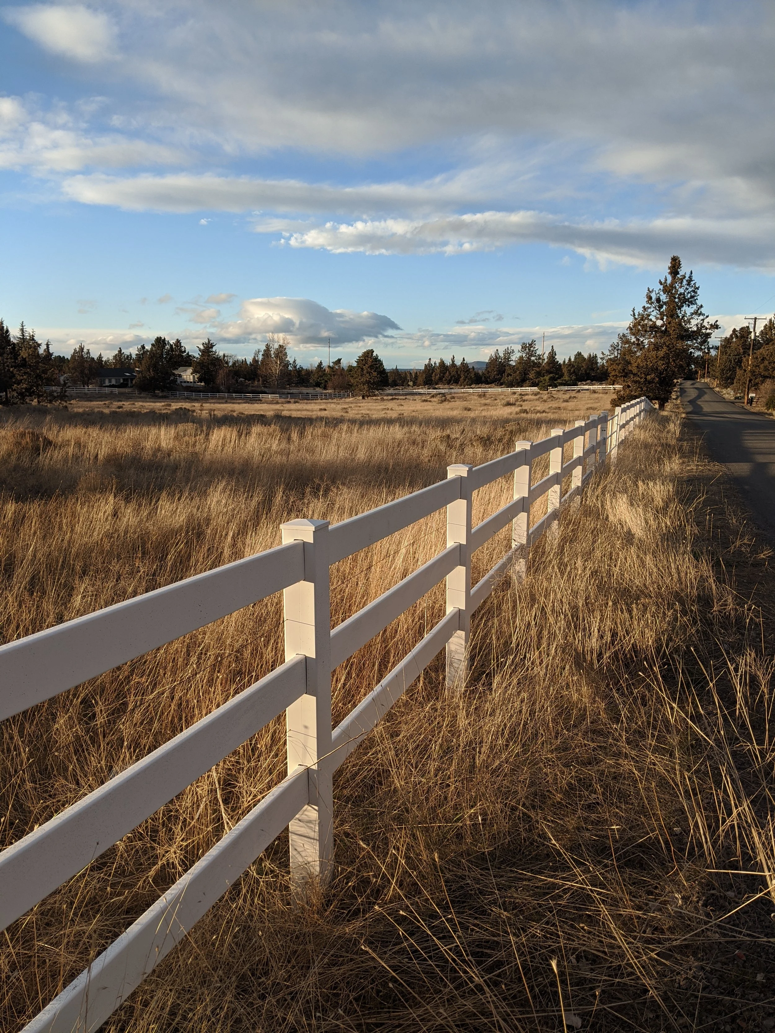 Fence Post Porn - Geoff Rhodes (22).jpg