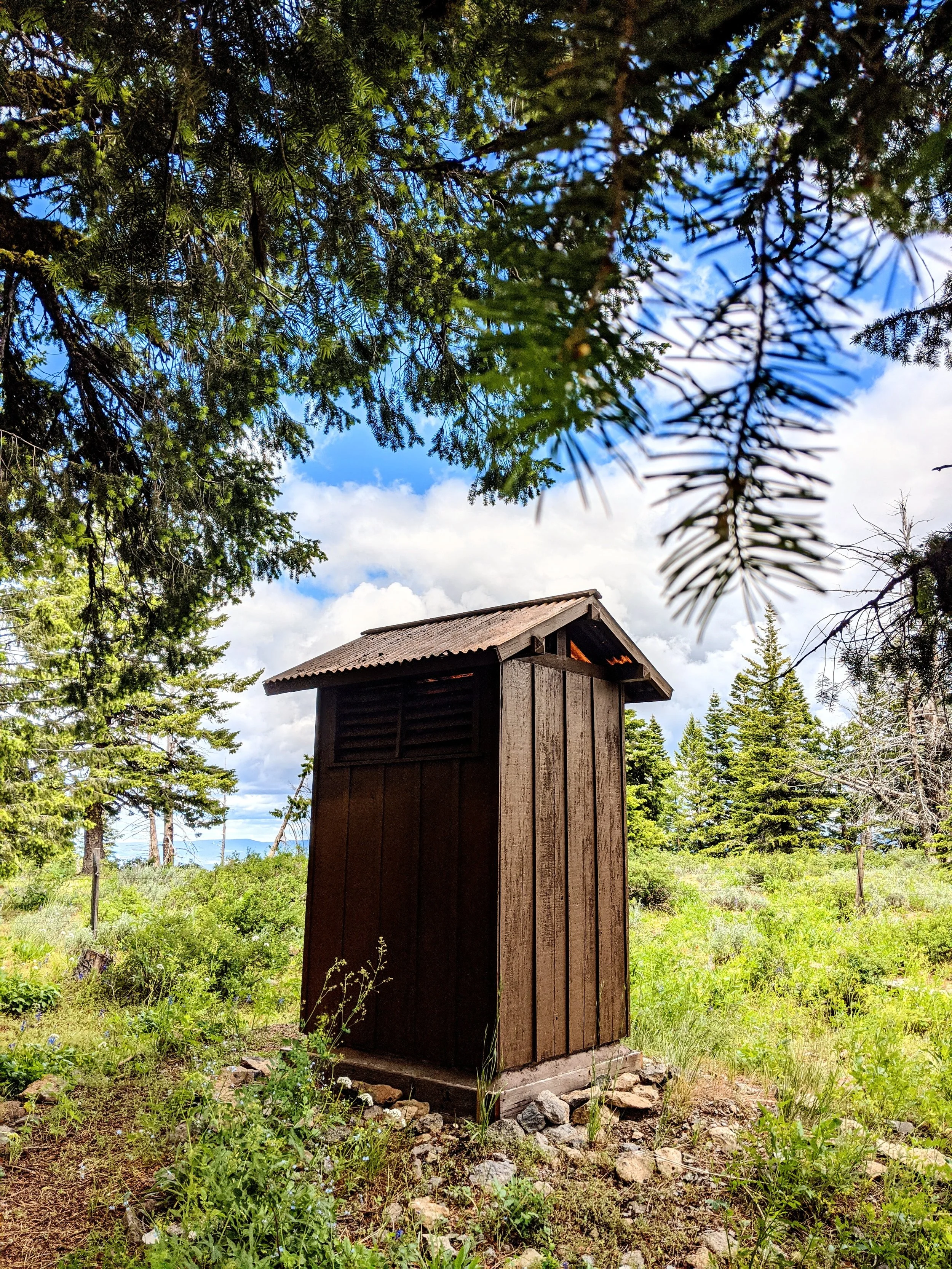 The World Around Me - Geoff Rhodes  (56).jpg