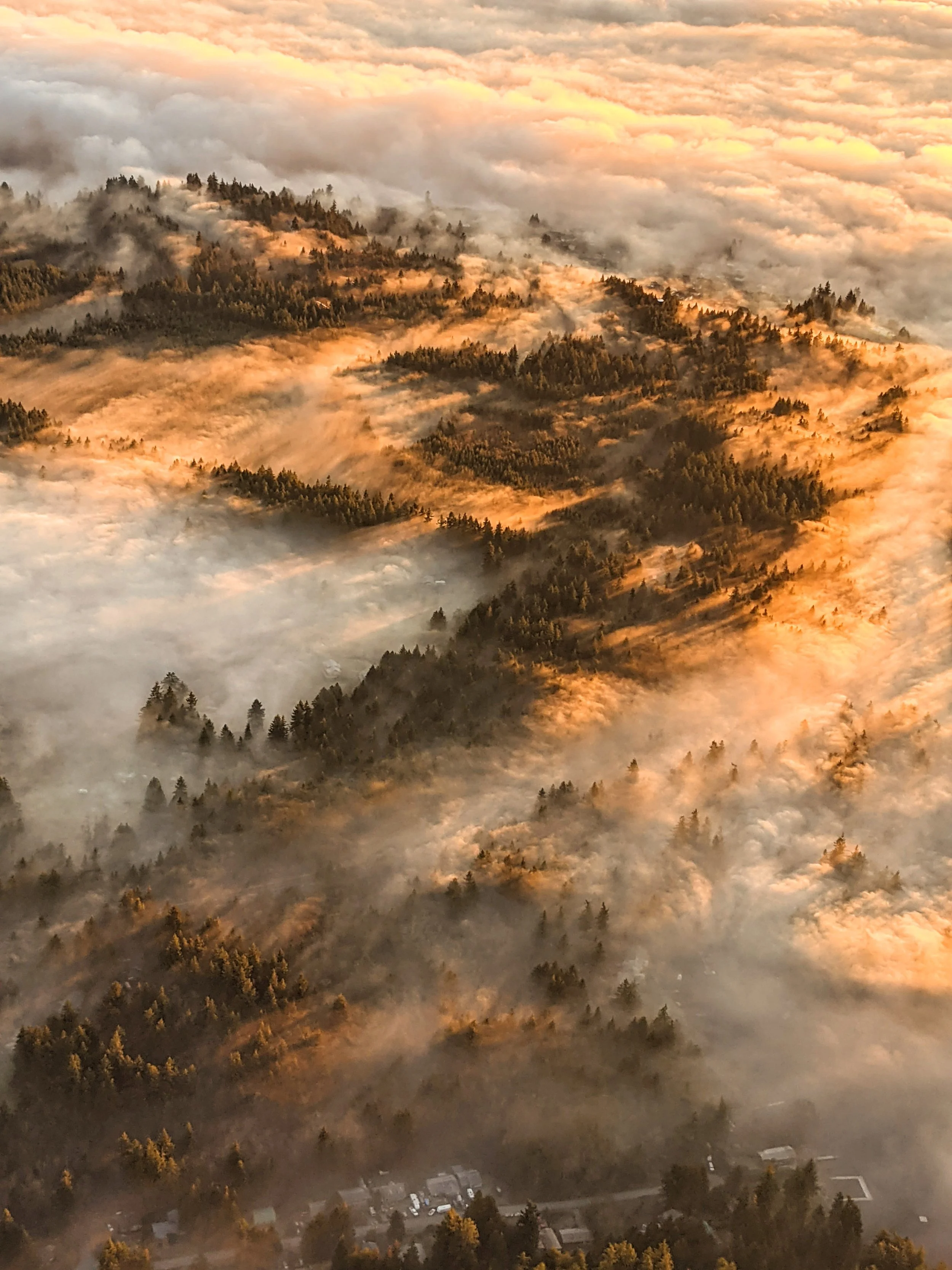 This is Your Captain Speaking - Geoff Rhodes (1).jpg