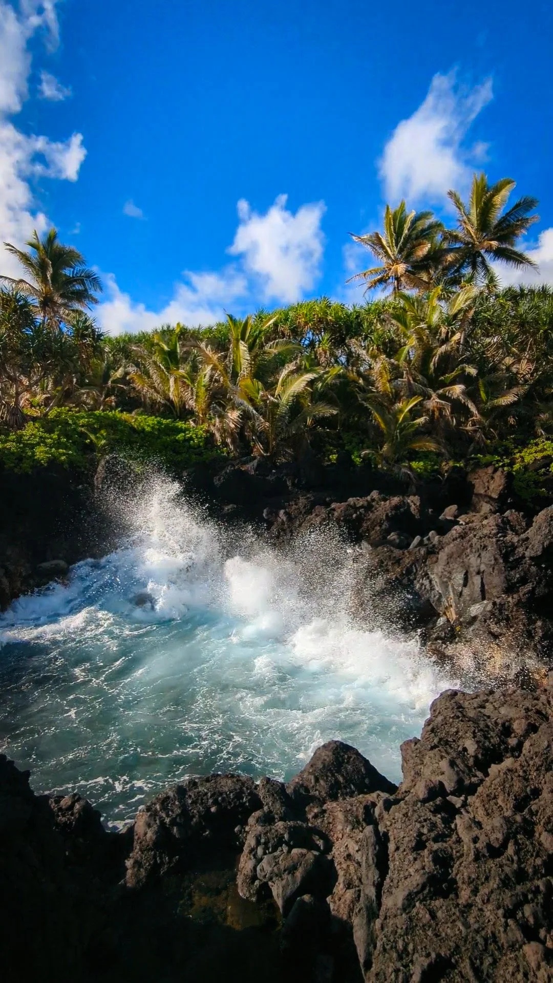 Hawaii - Geoff Rhodes - Ridgeline Creative (22).jpg