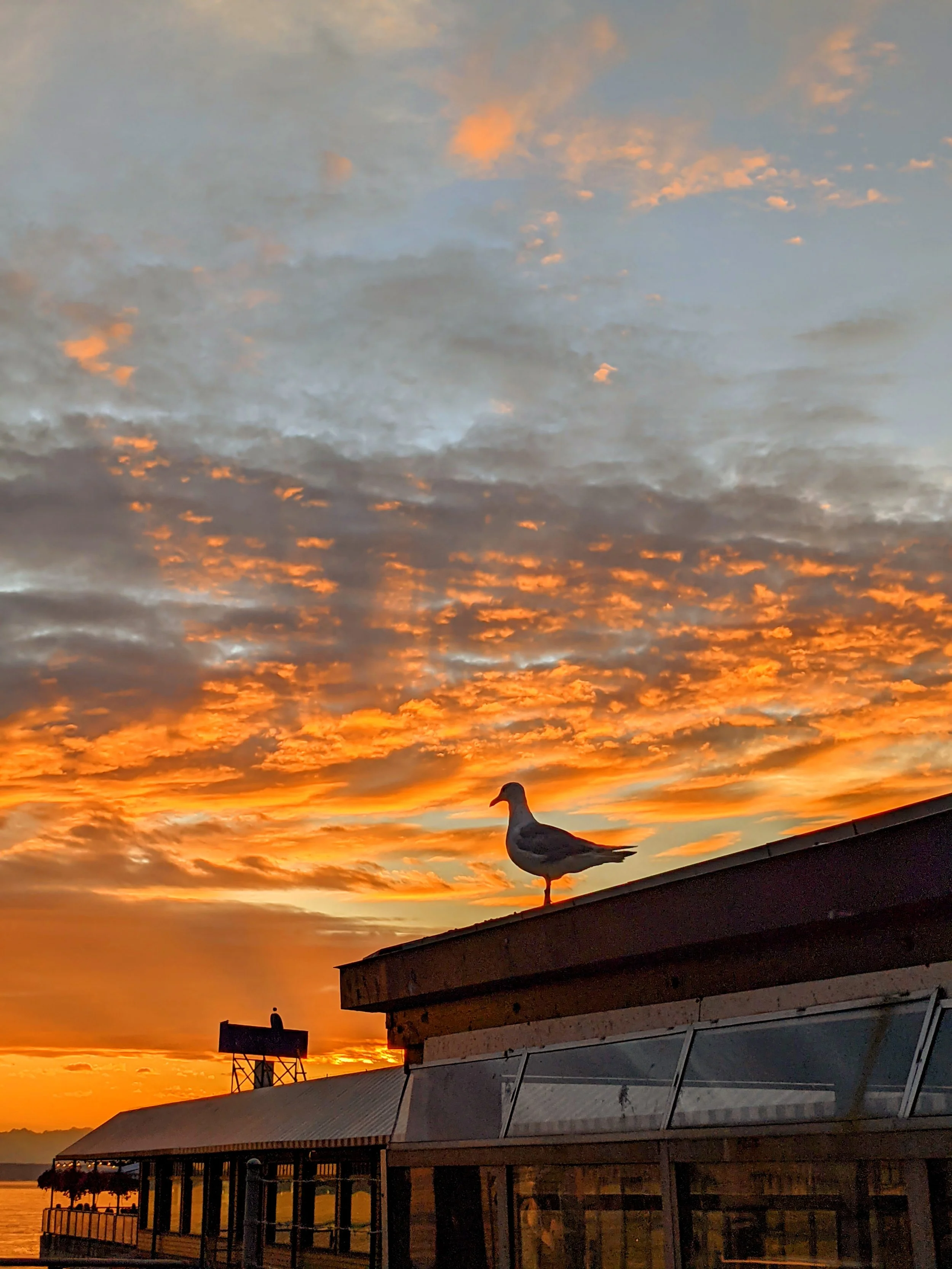 Killer Sunsets - Geoff Rhodes (146).jpg