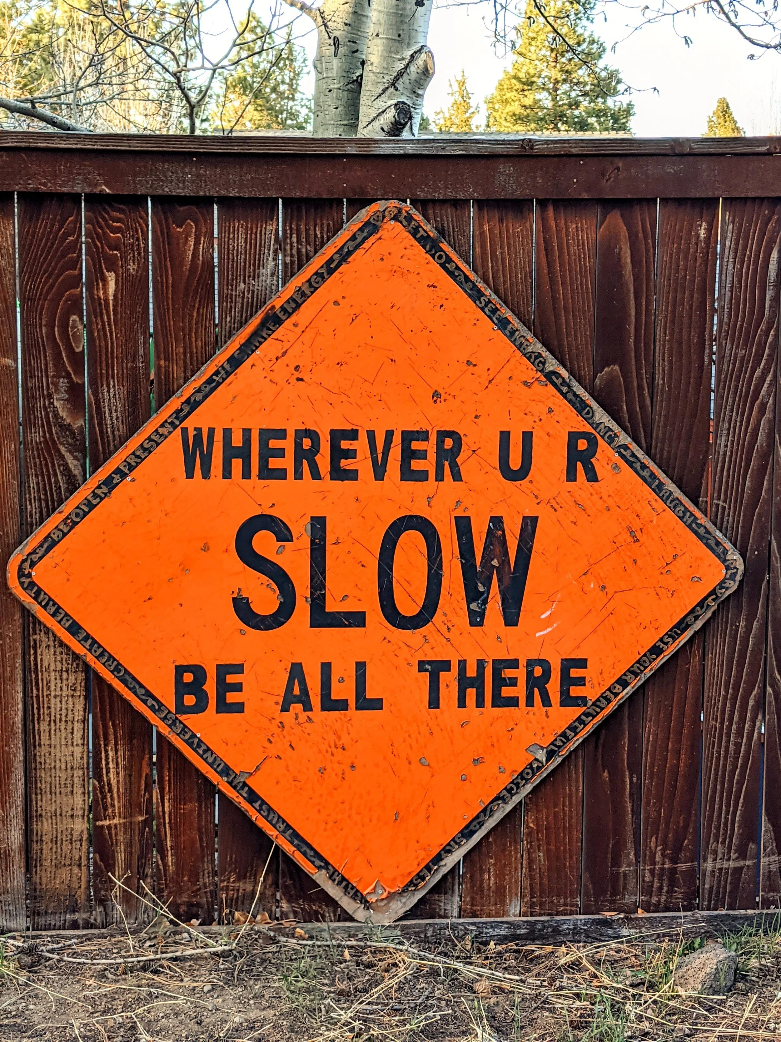 The World Around Me - Geoff Rhodes  (13).jpg