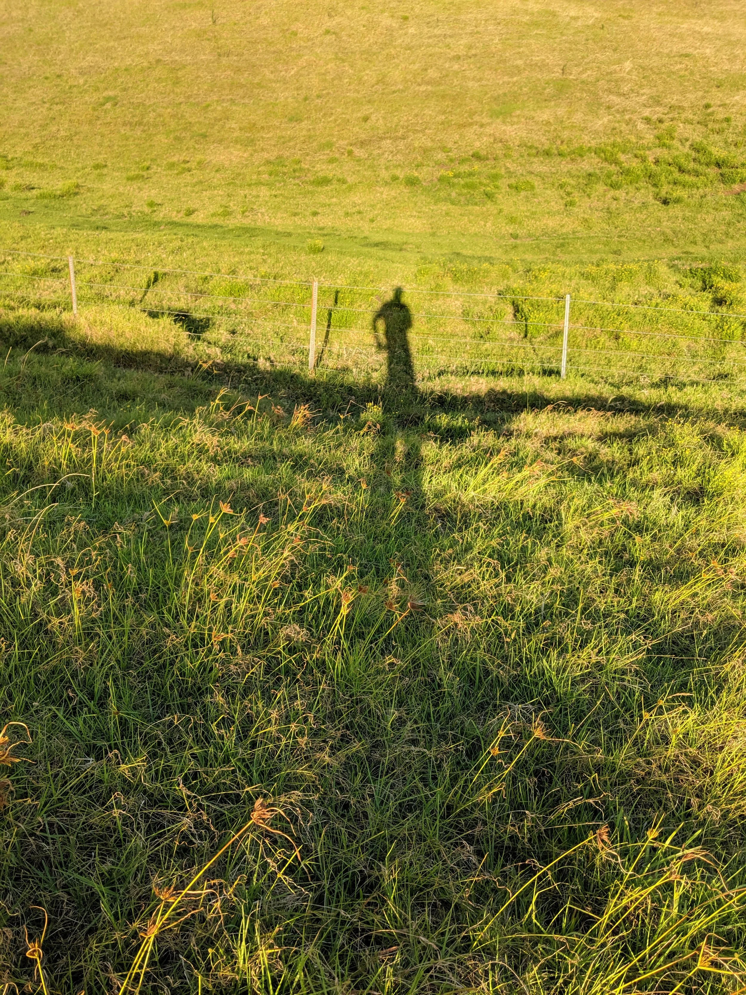 Shadow Games - Geoff Rhodes (20).jpg