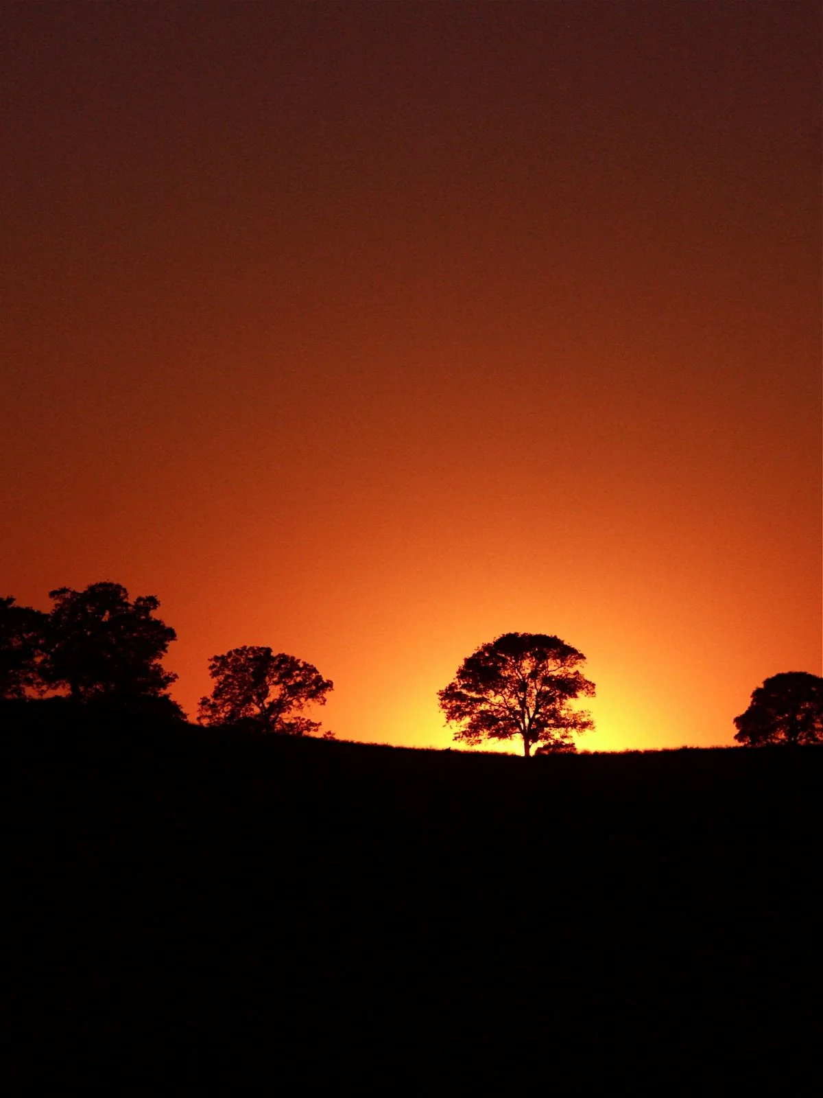 Killer Sunsets - Geoff Rhodes (101).JPG