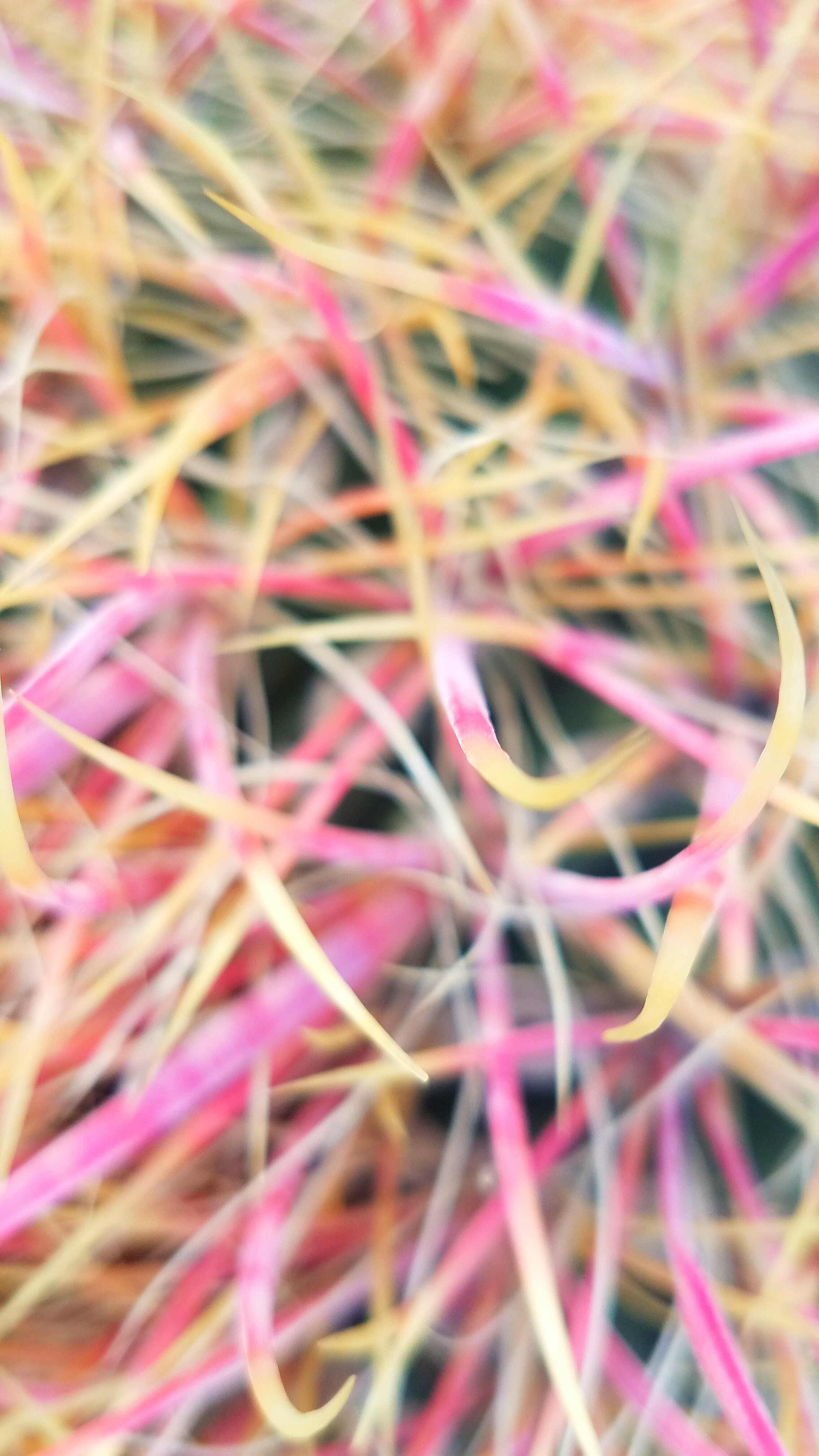 The World Around Me - Geoff Rhodes  (23).jpg