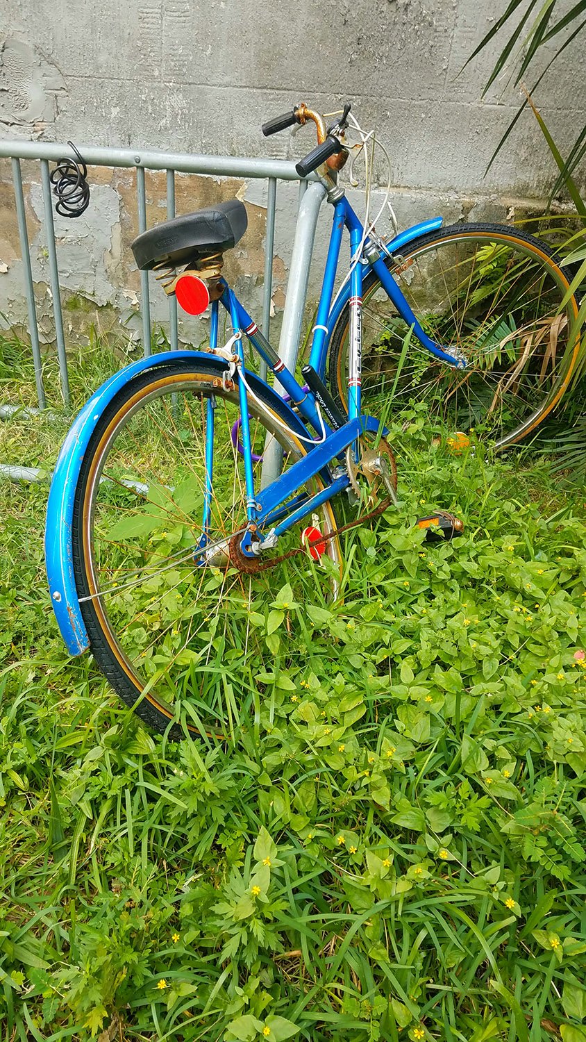 The World Around Me - Geoff Rhodes  (67).jpg