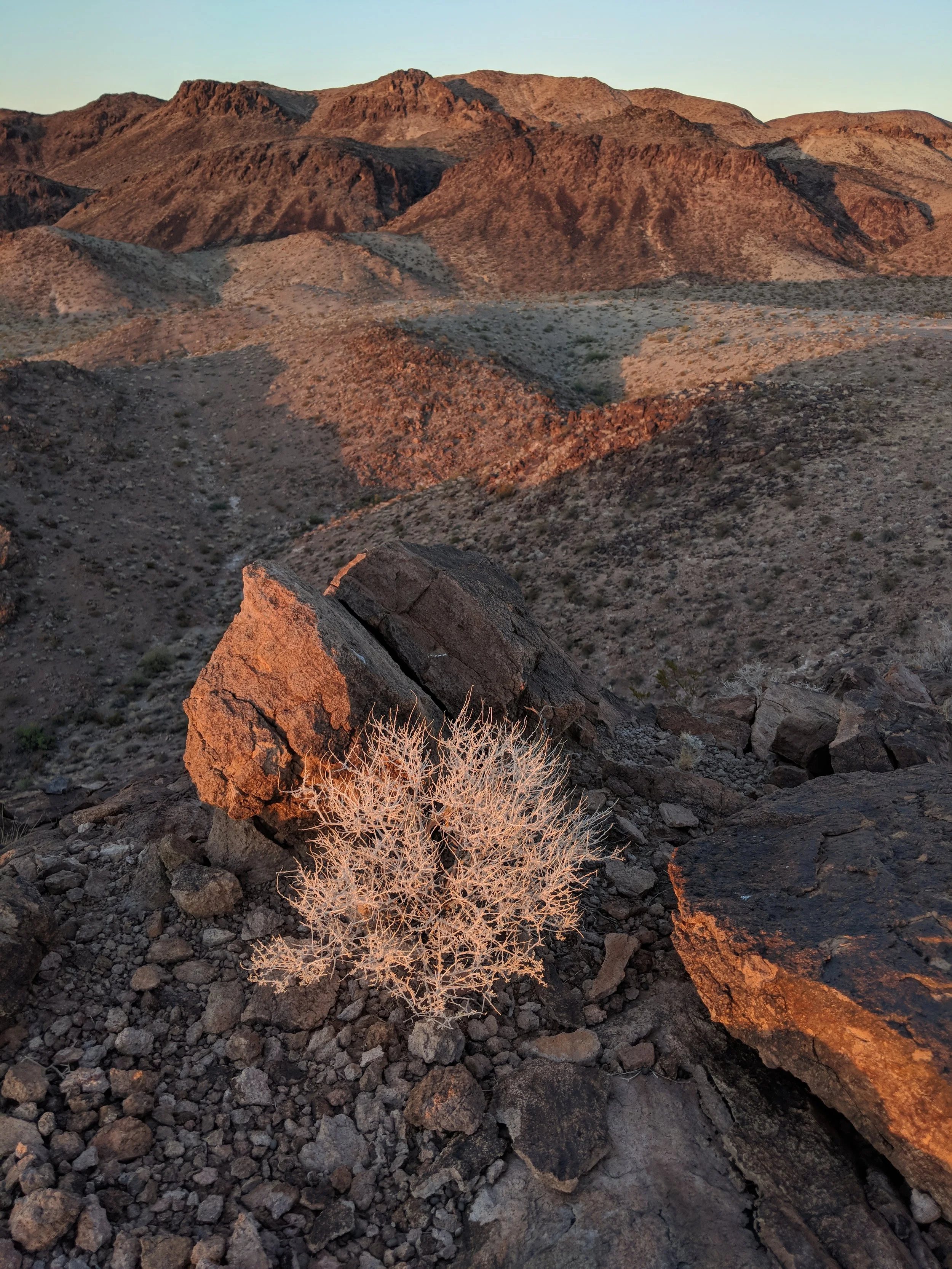 Desert Solitude - landscape - Geoff Rhodes (16).jpg
