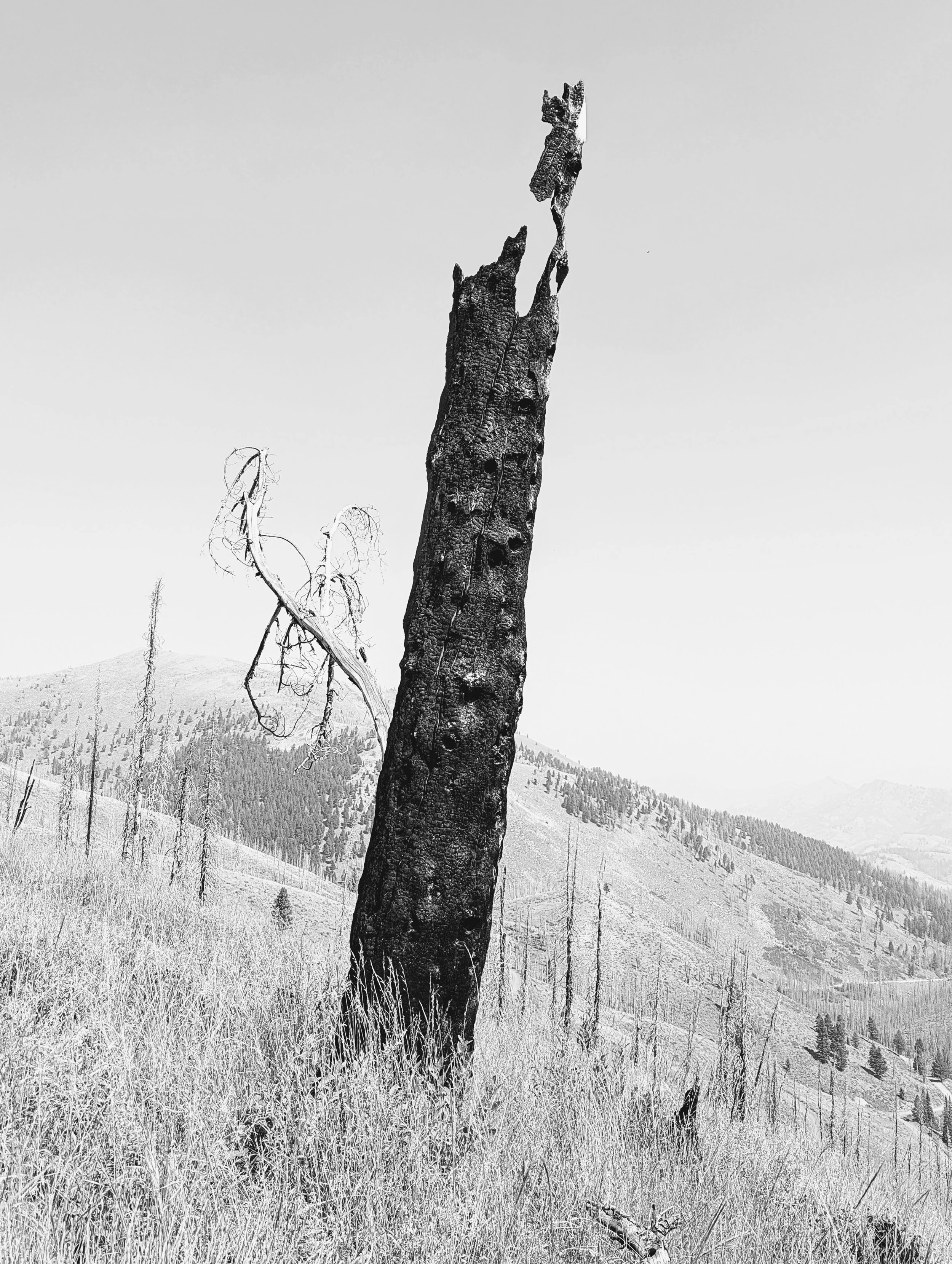 Composition - Geoff Rhodes (66).jpg