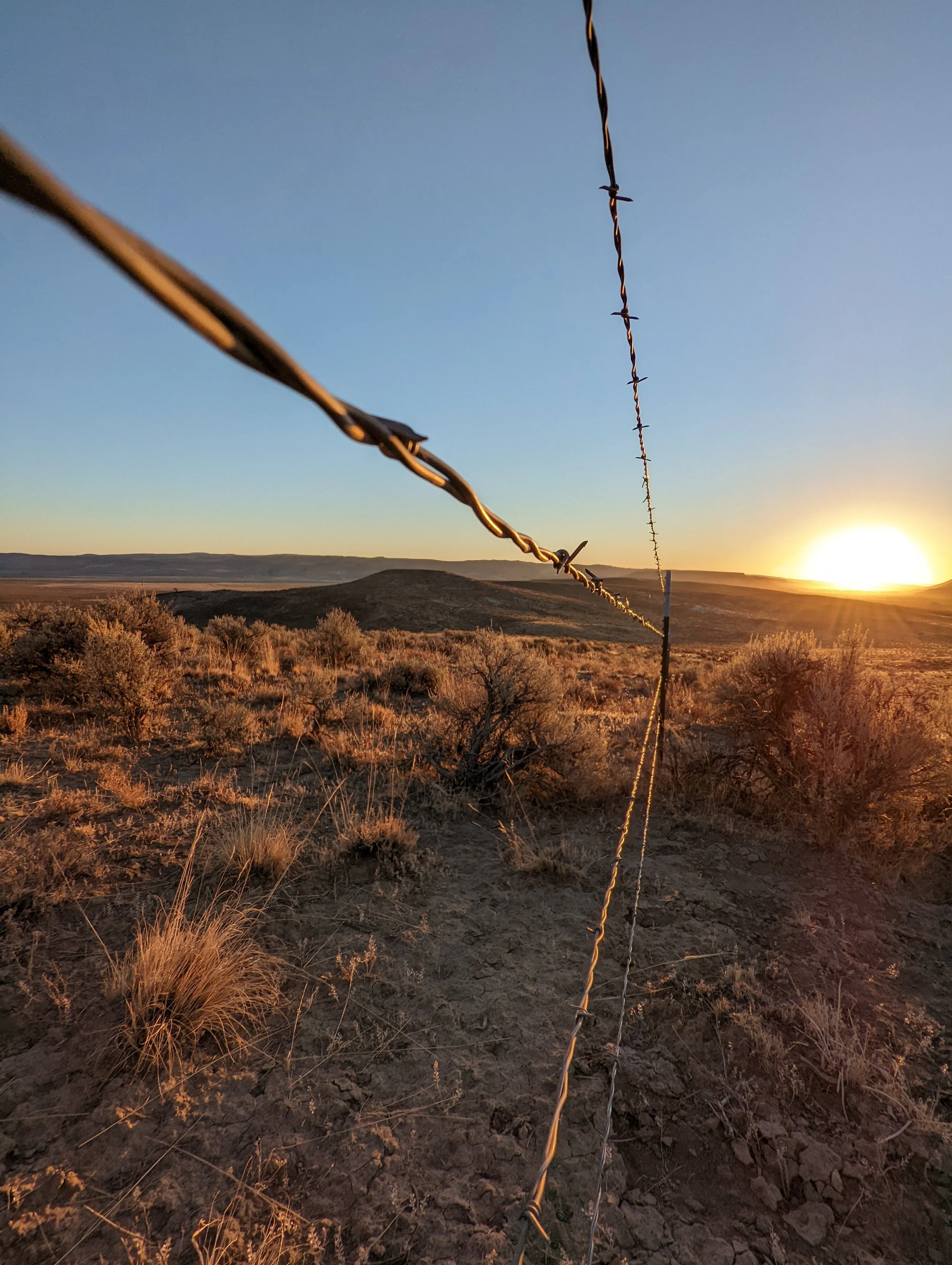 Fence Post Porn - Geoff Rhodes - 2023 (2).jpg