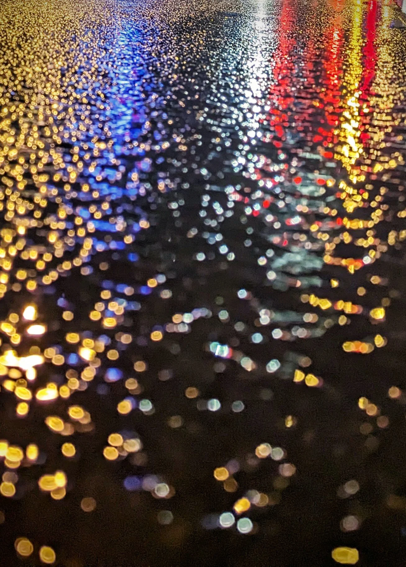 The World Around Me - Geoff Rhodes  (42).jpg