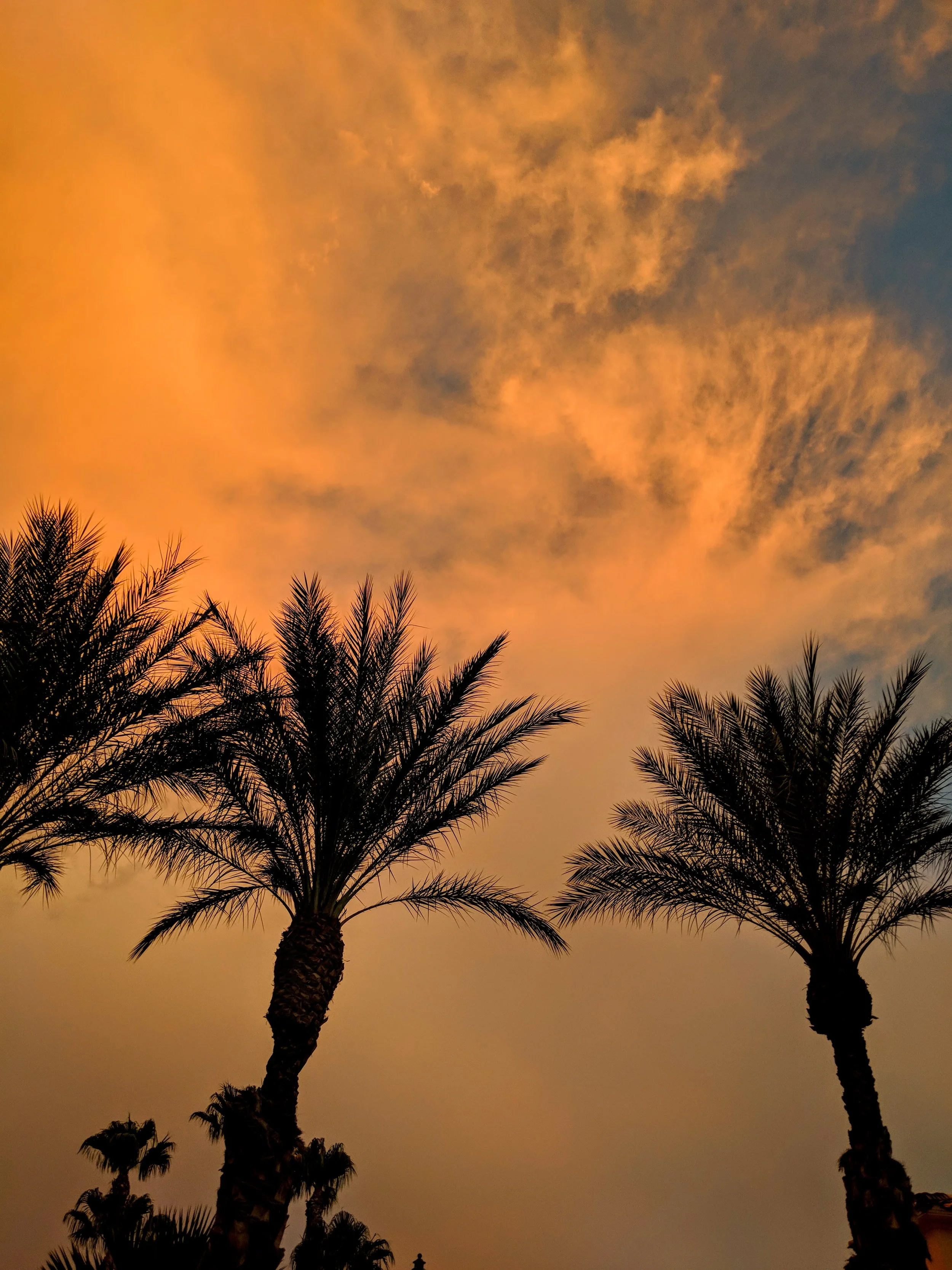 I Love your Silhouette - Geoff Rhodes (35).jpg