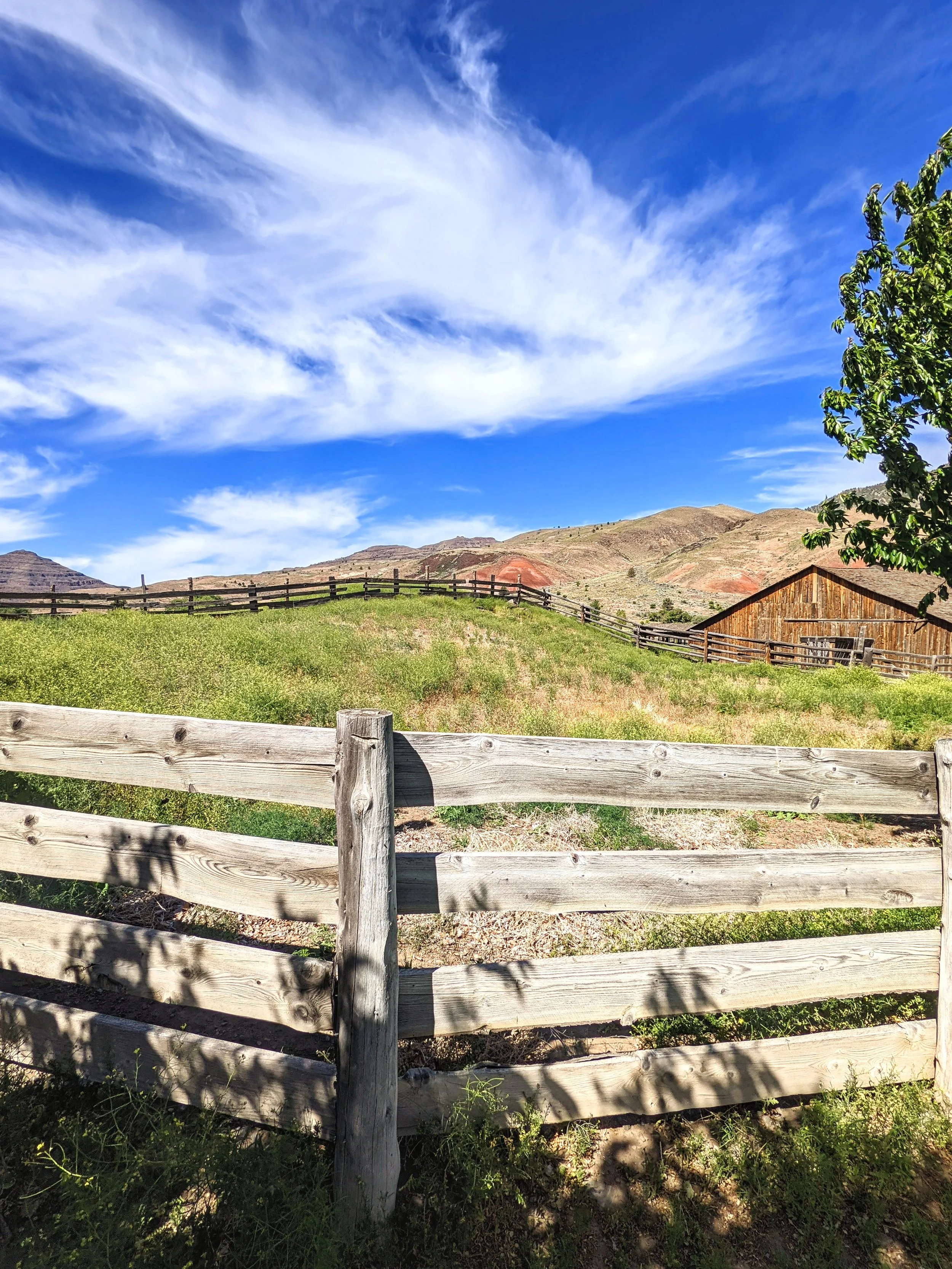 Fence Post Porn - Geoff Rhodes (29).jpg