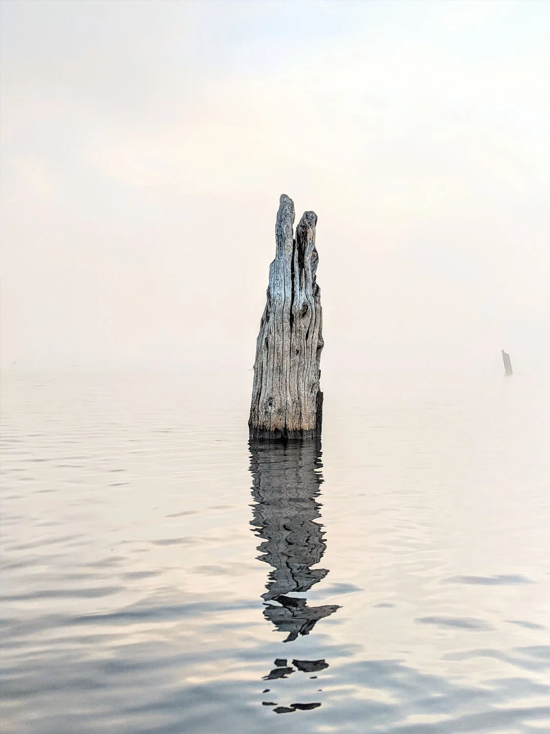 Composition - Geoff Rhodes (41).jpg