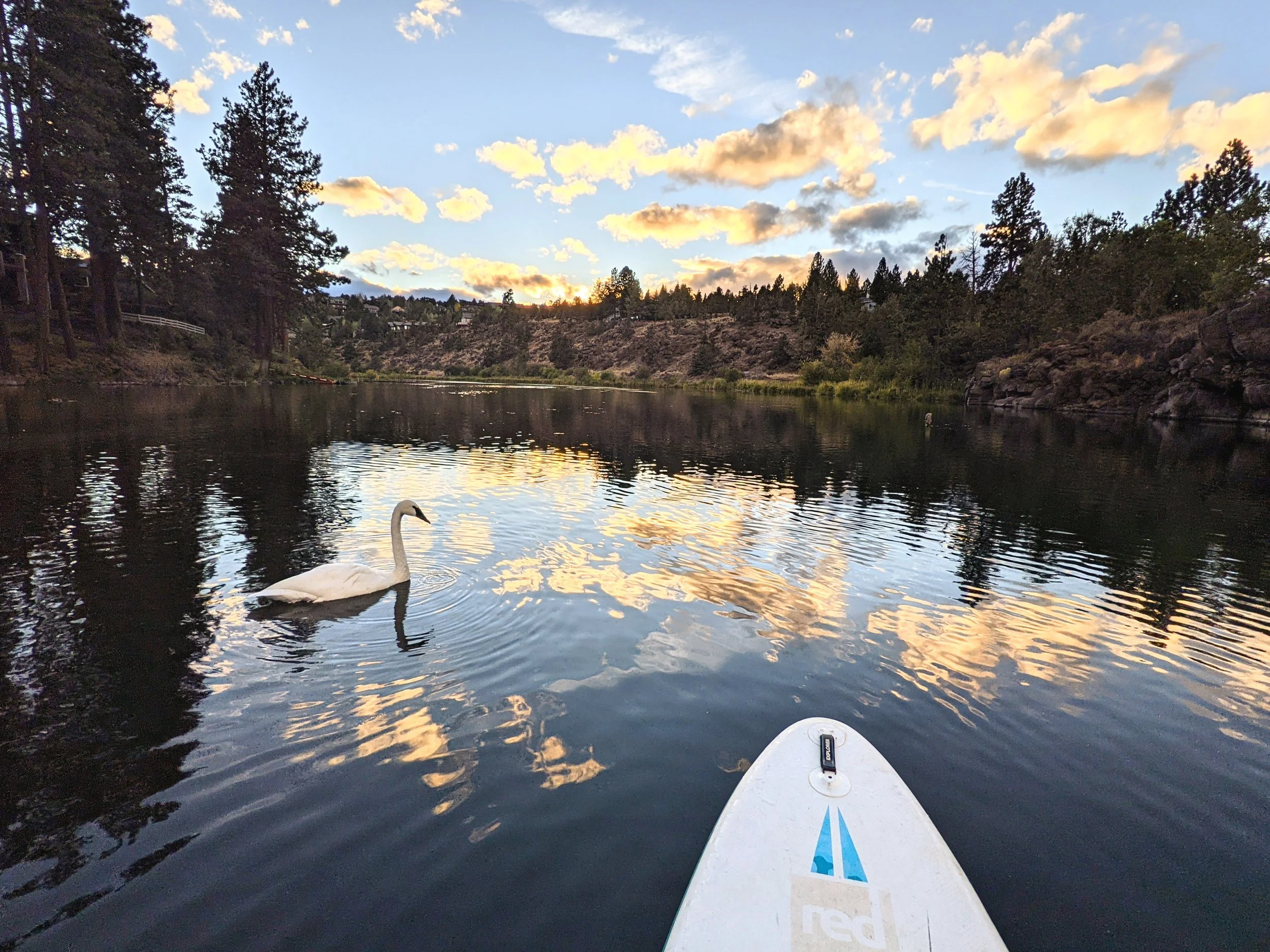 Just the Tip - SUP - Red (24).jpg