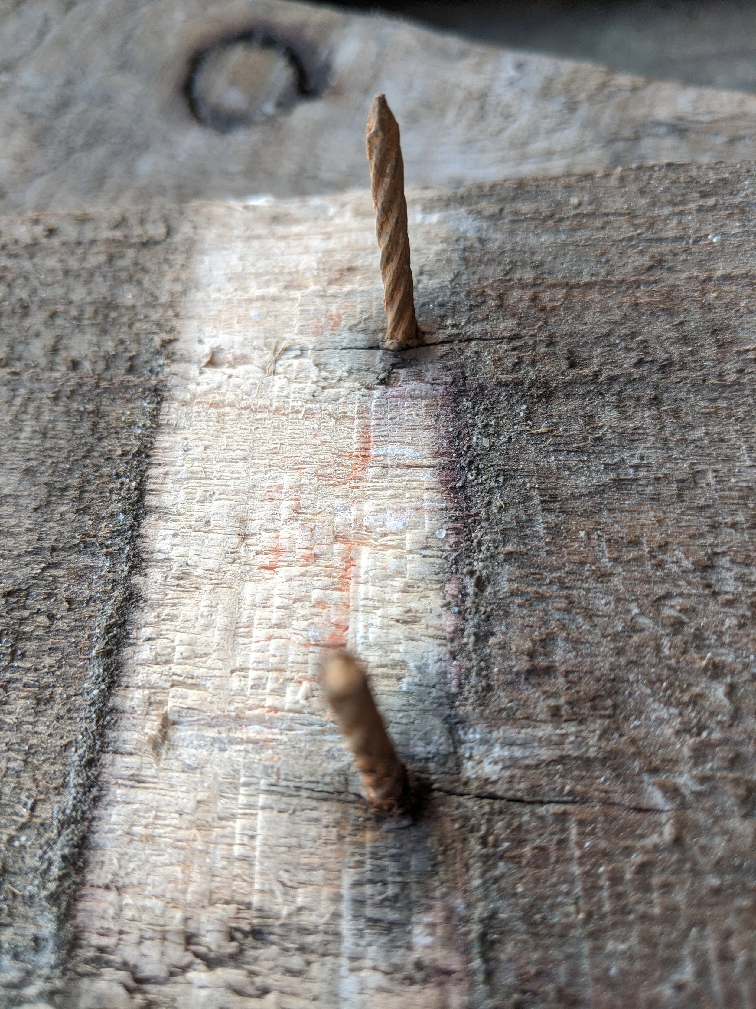 The World Around Me - Geoff Rhodes  (53).jpg