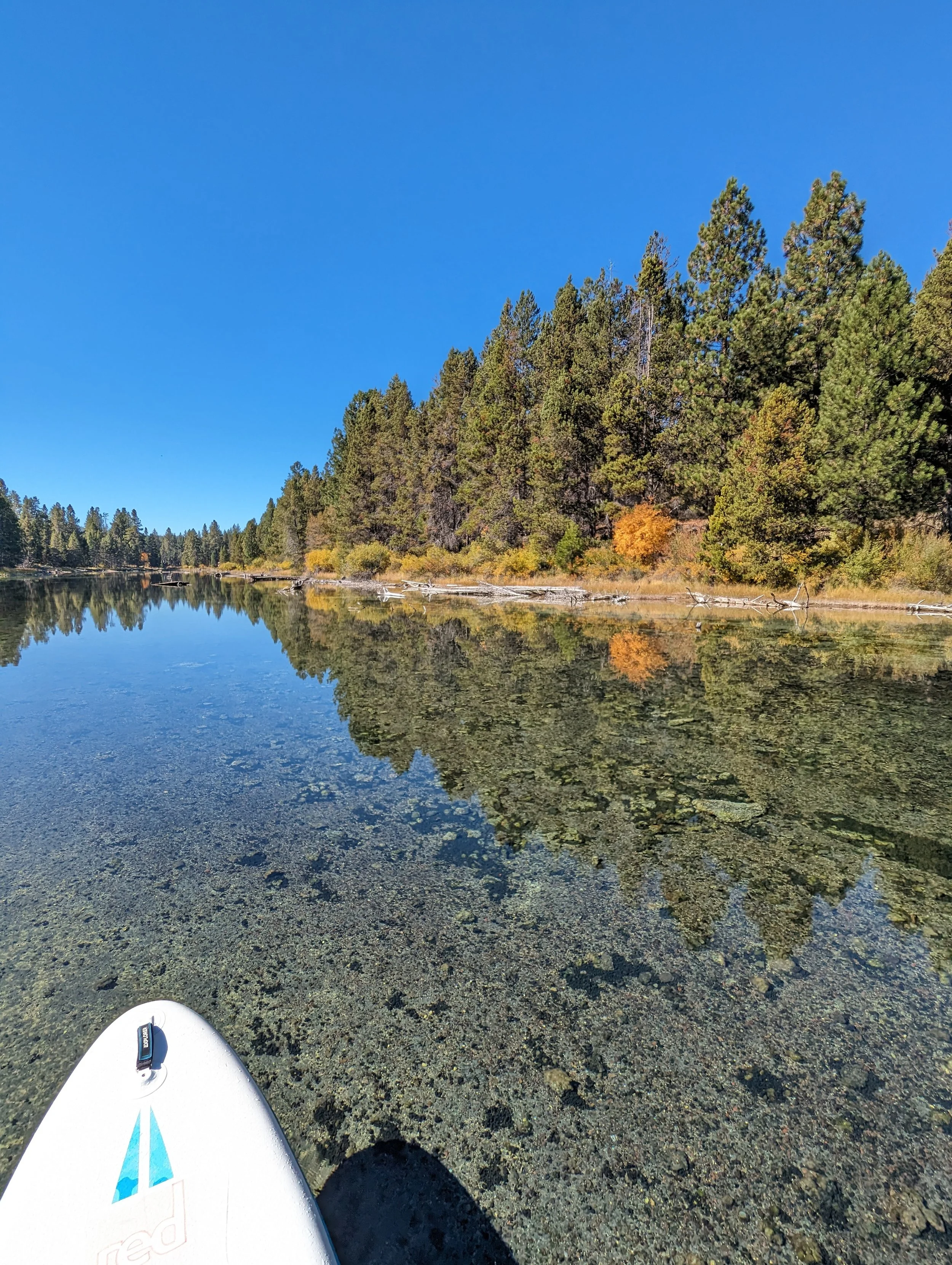 Just the Tip - SUP - Red (38).jpg