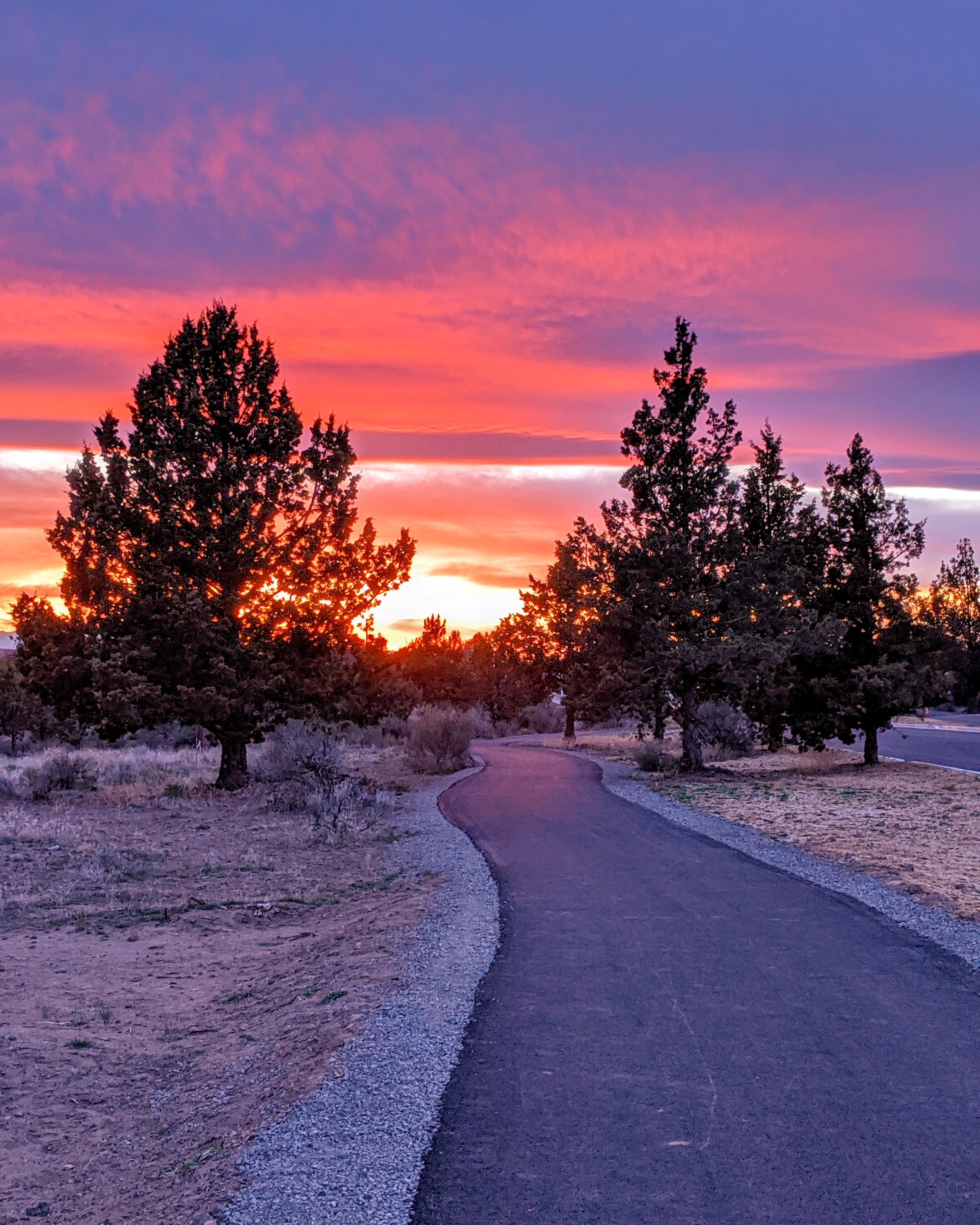 Life on the Road - Geoff Rhodes (34).jpg