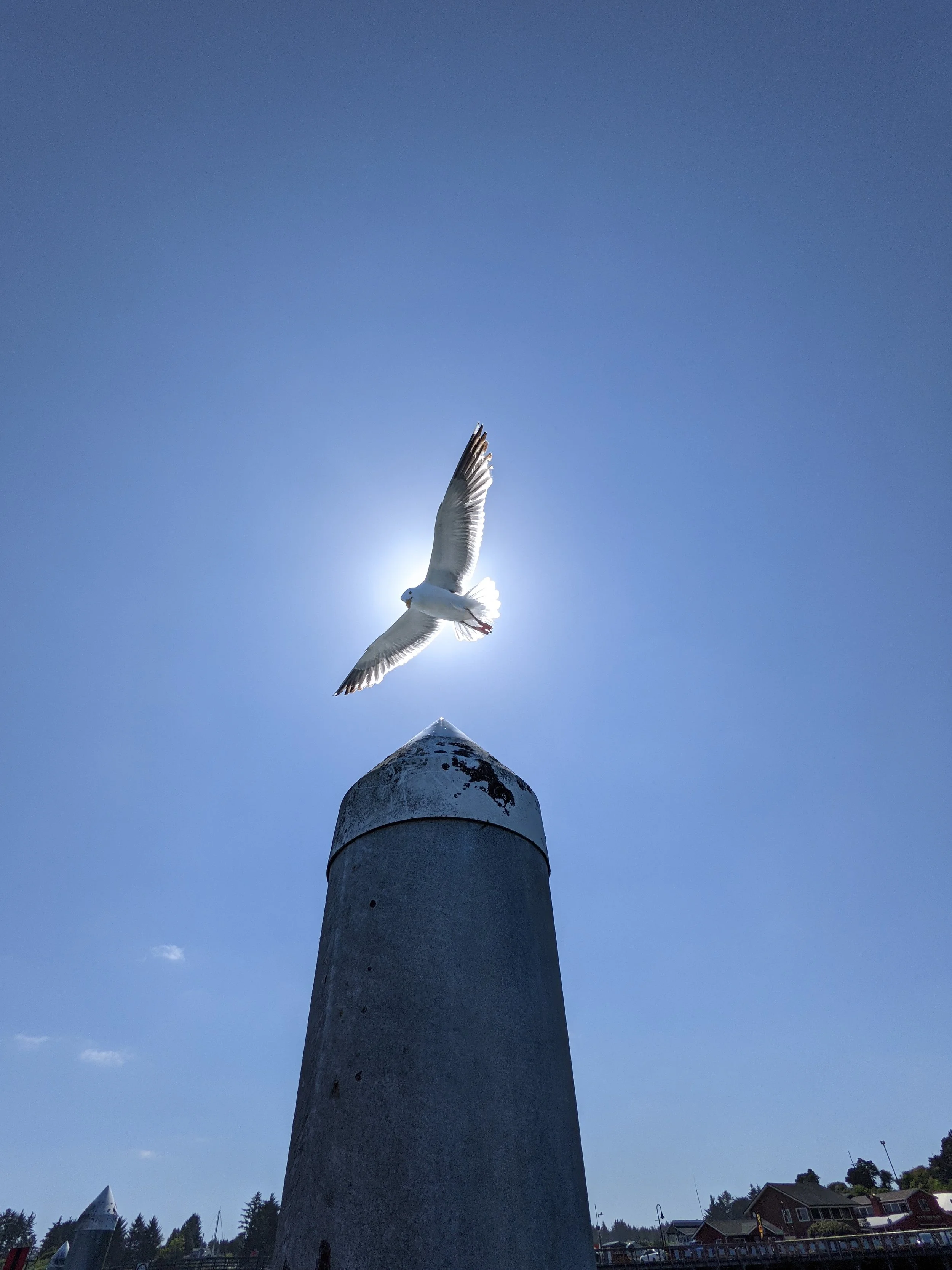 The World Around Me - Geoff Rhodes  (73).jpg