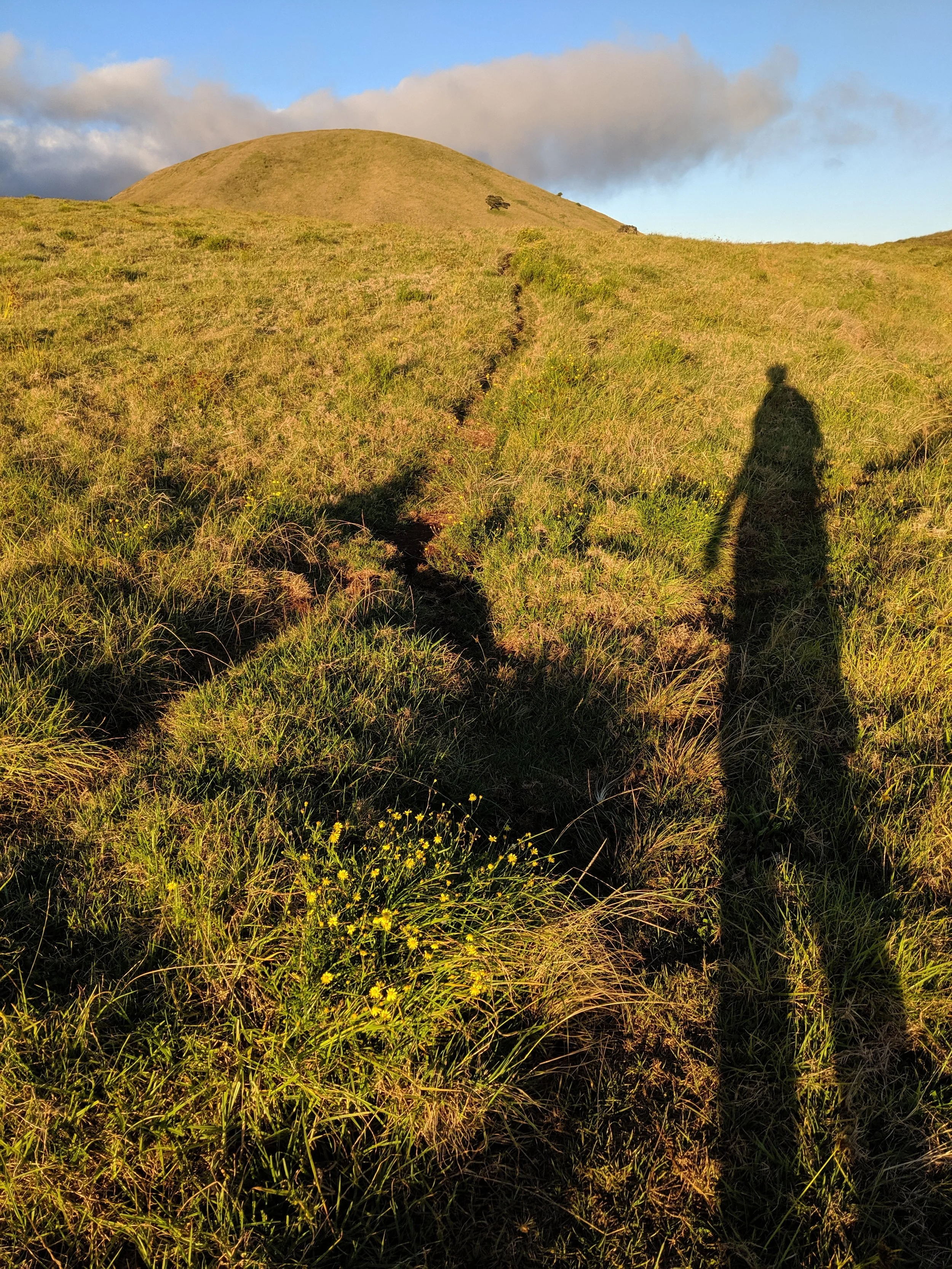 Shadow Games - Geoff Rhodes (21).jpg