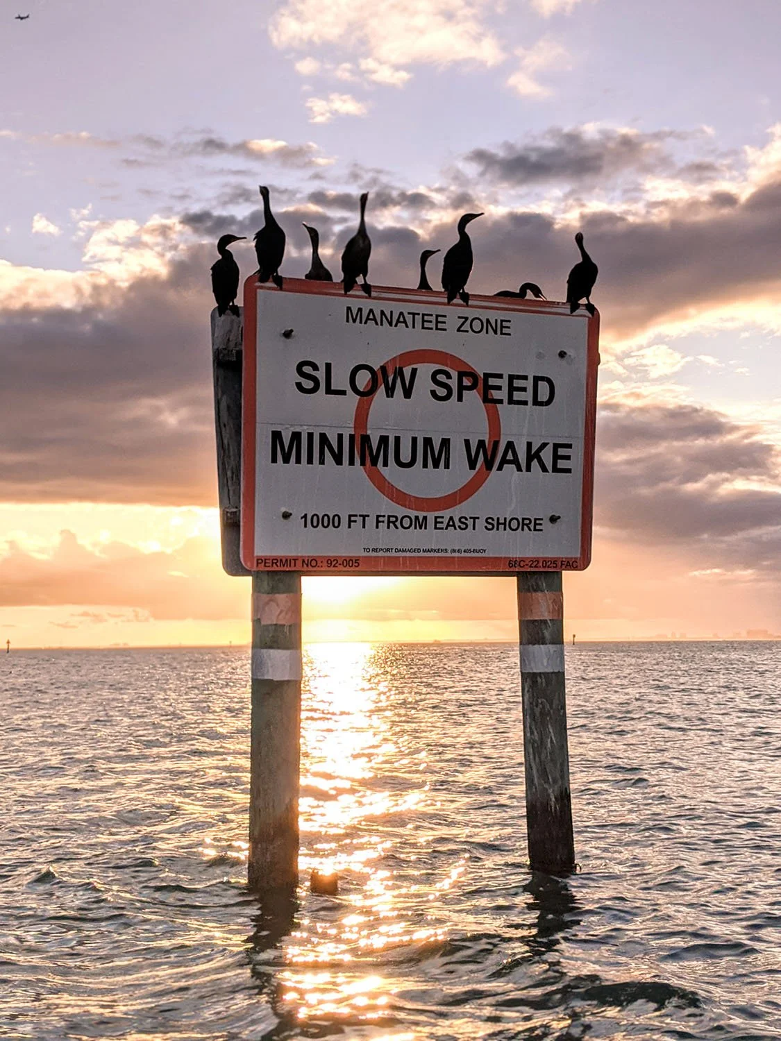 The World Around Me - Geoff Rhodes  (10).jpg