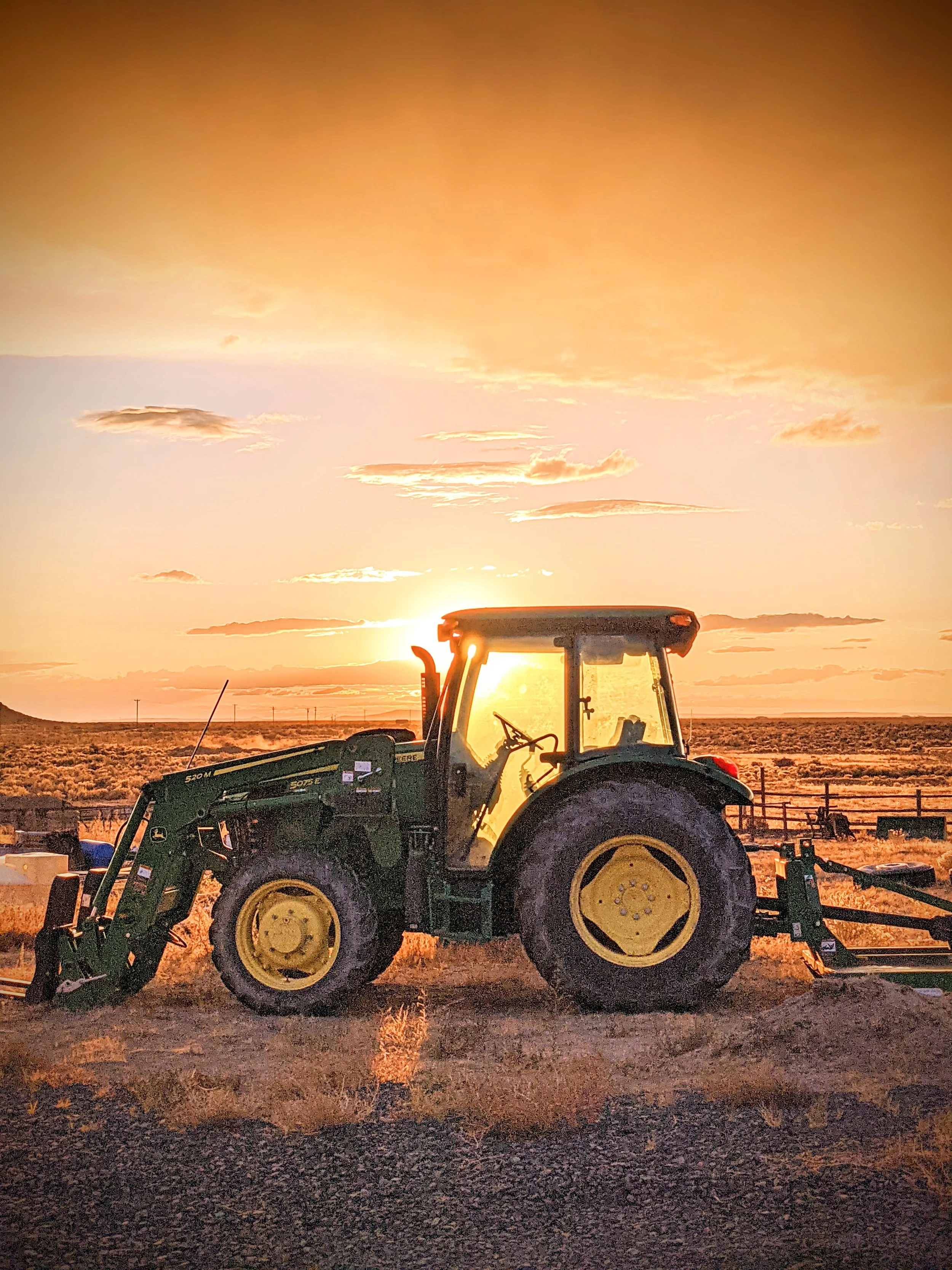 The World Around Me - Geoff Rhodes  (75).jpg