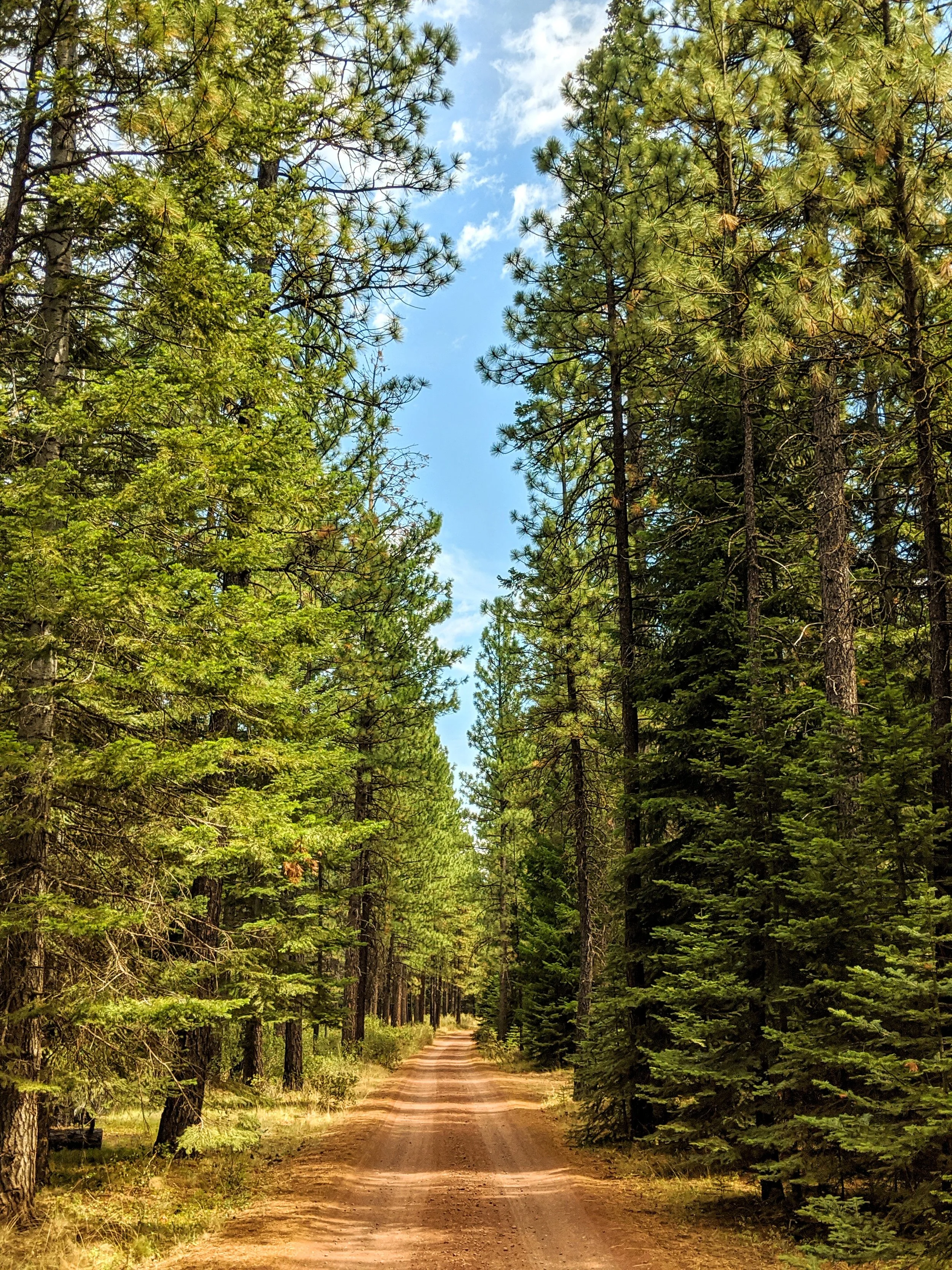 Life on the Road - Geoff Rhodes (9).jpg