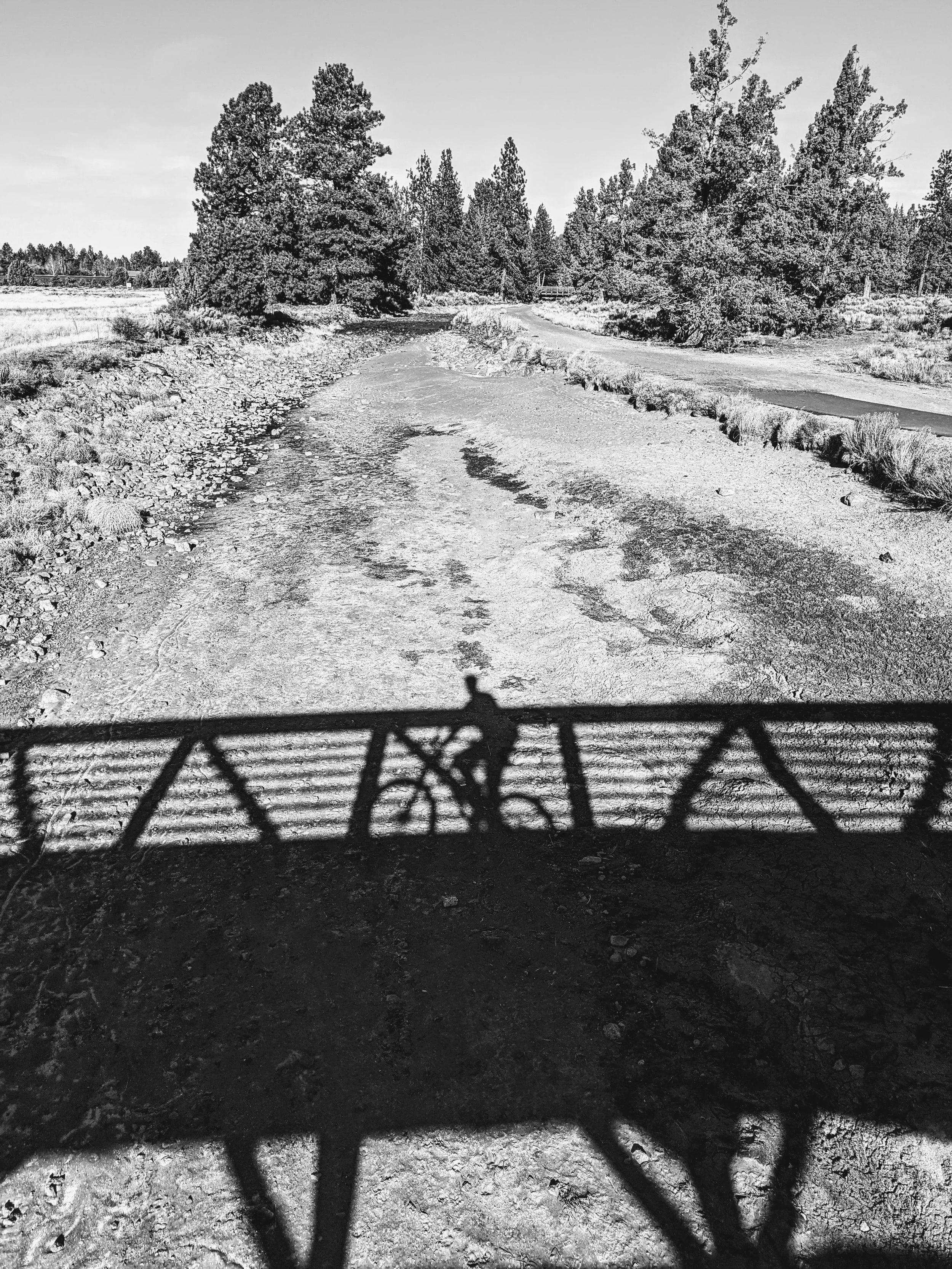 Shadow Games - Geoff Rhodes (55).jpg