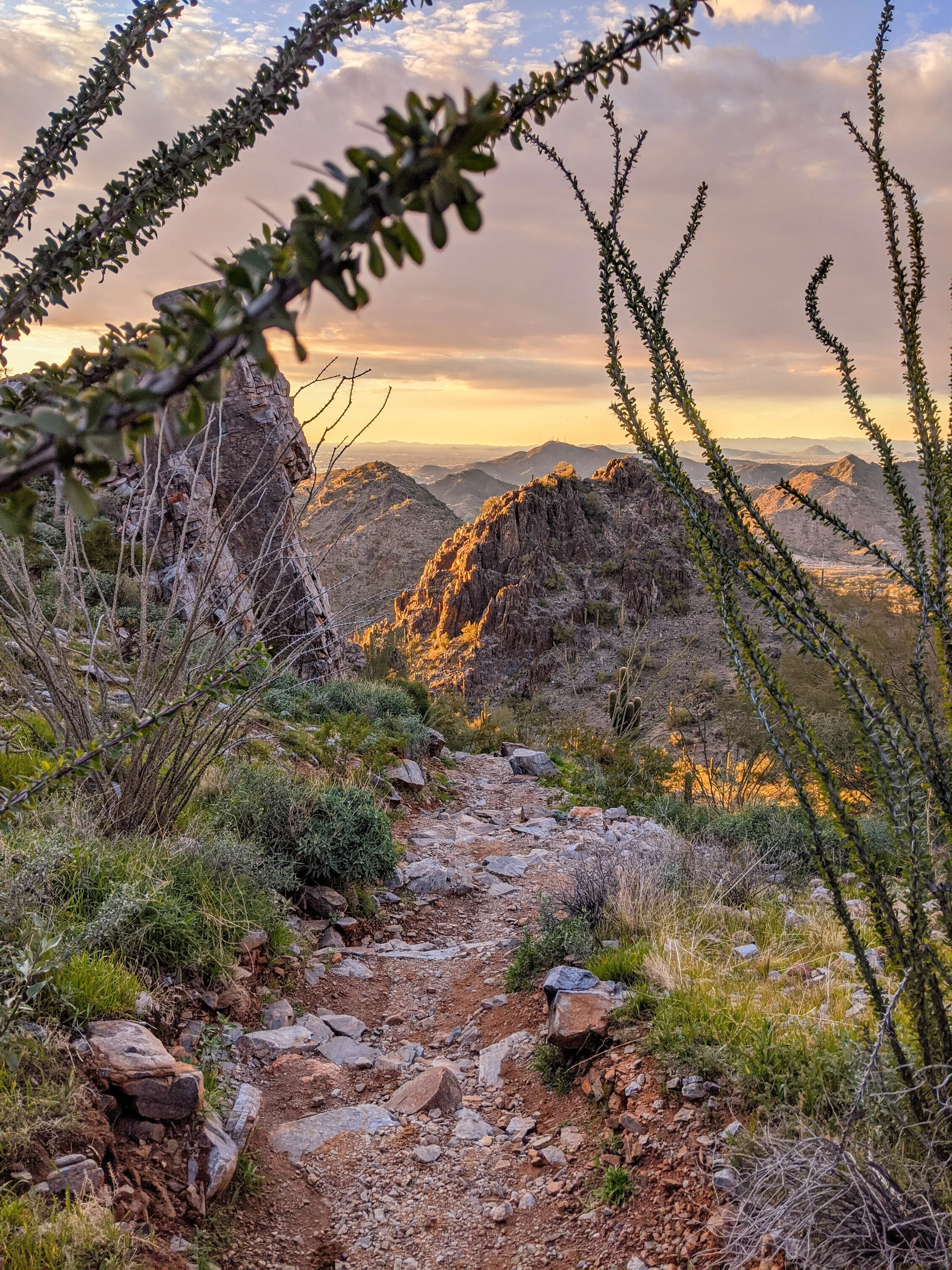 Desert Solitude - landscape - Geoff Rhodes (2).jpg