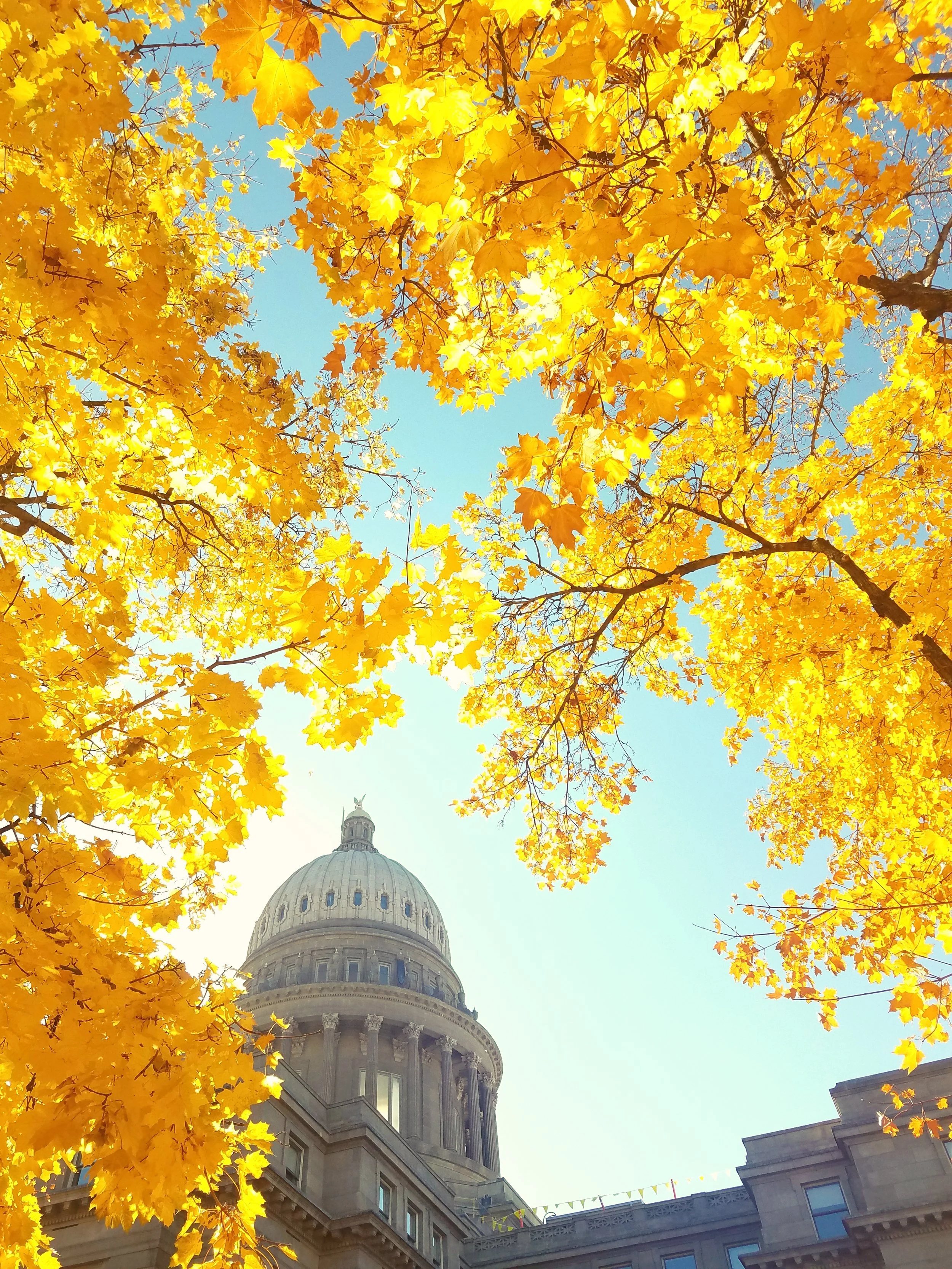 Big City Streets - Geoff Rhodes (8).jpg