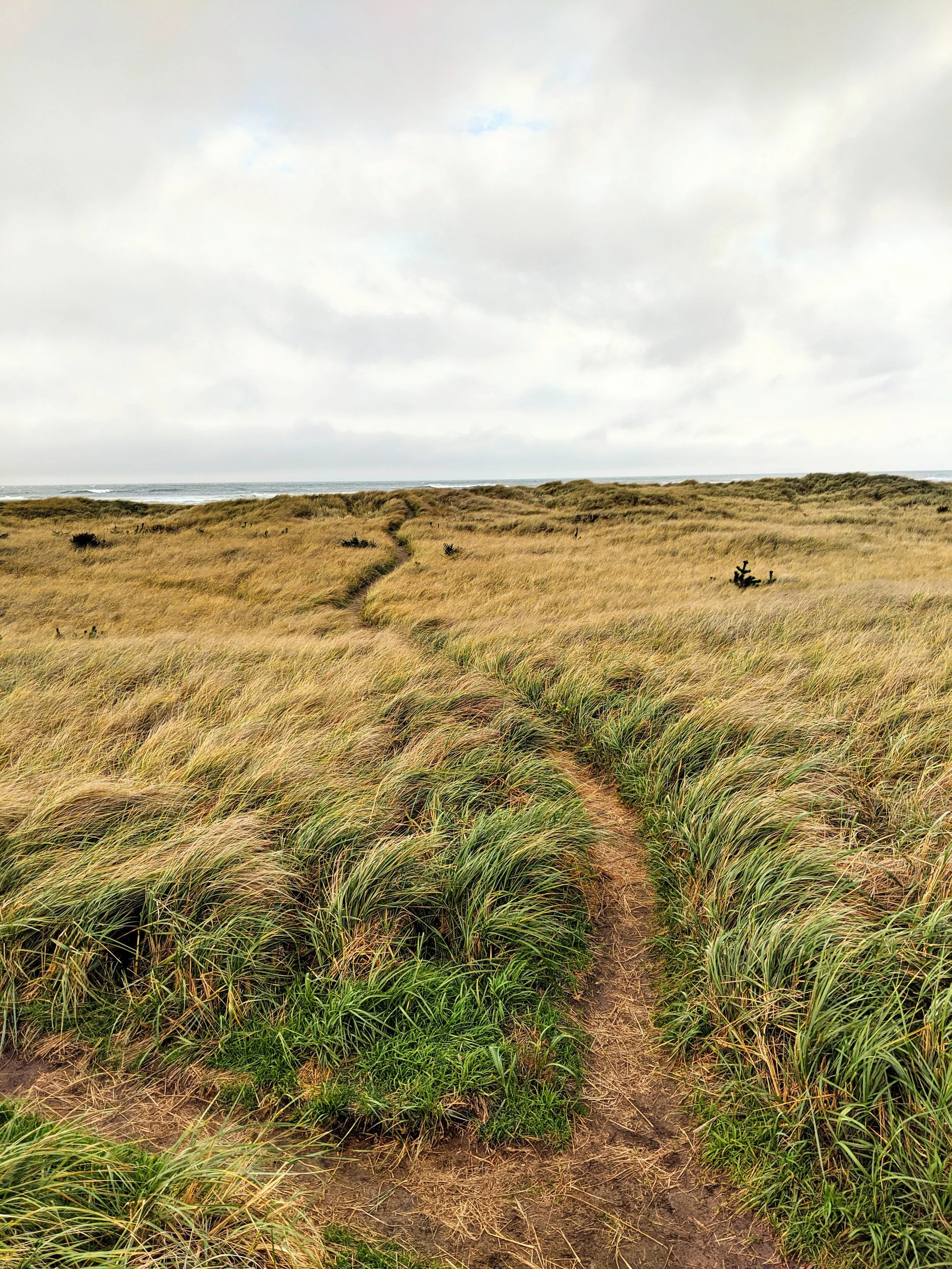 Path to Enlightenment - Geoff Rhodes (17).jpg