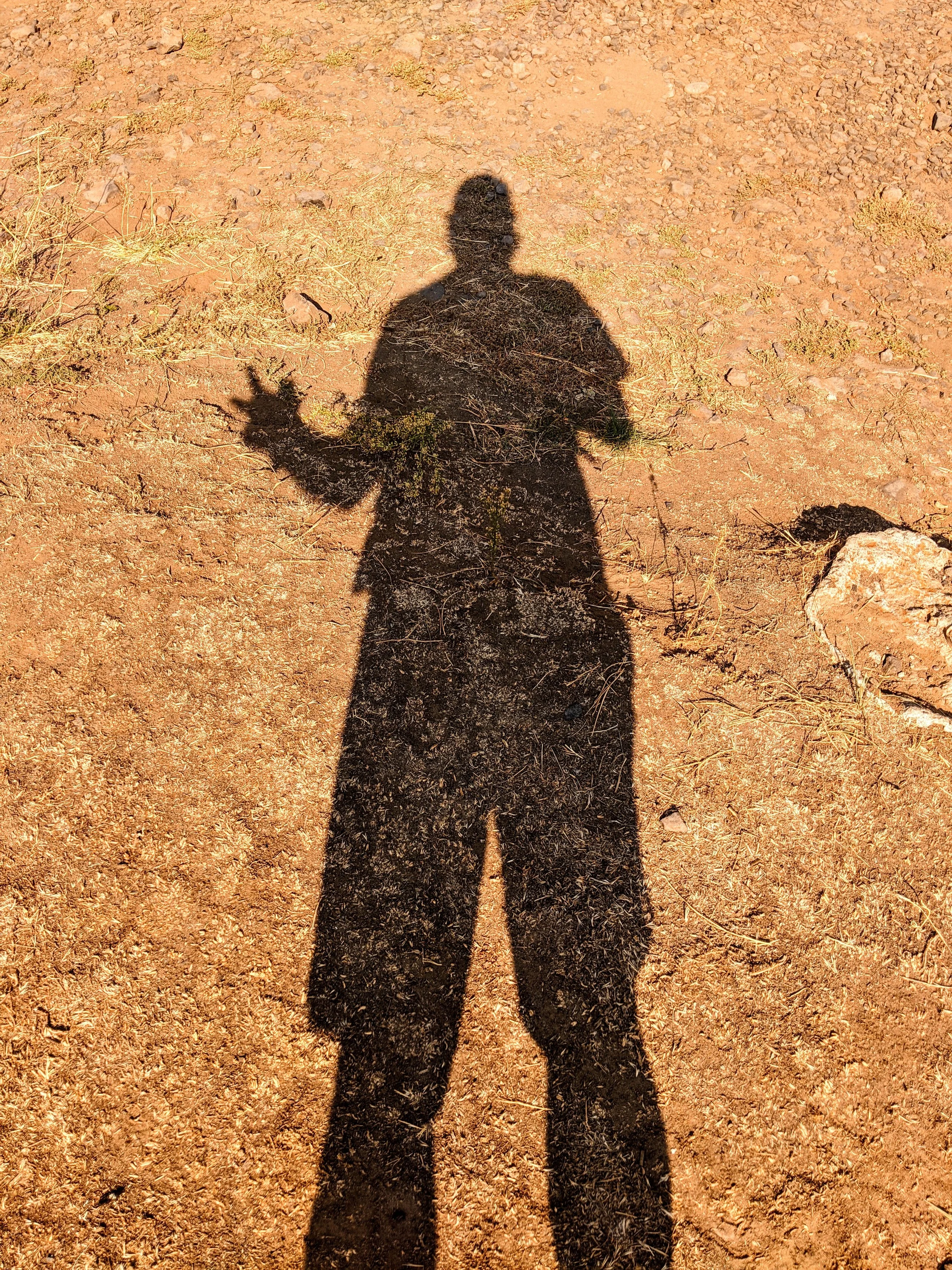 Shadow Games - Geoff Rhodes (39).jpg