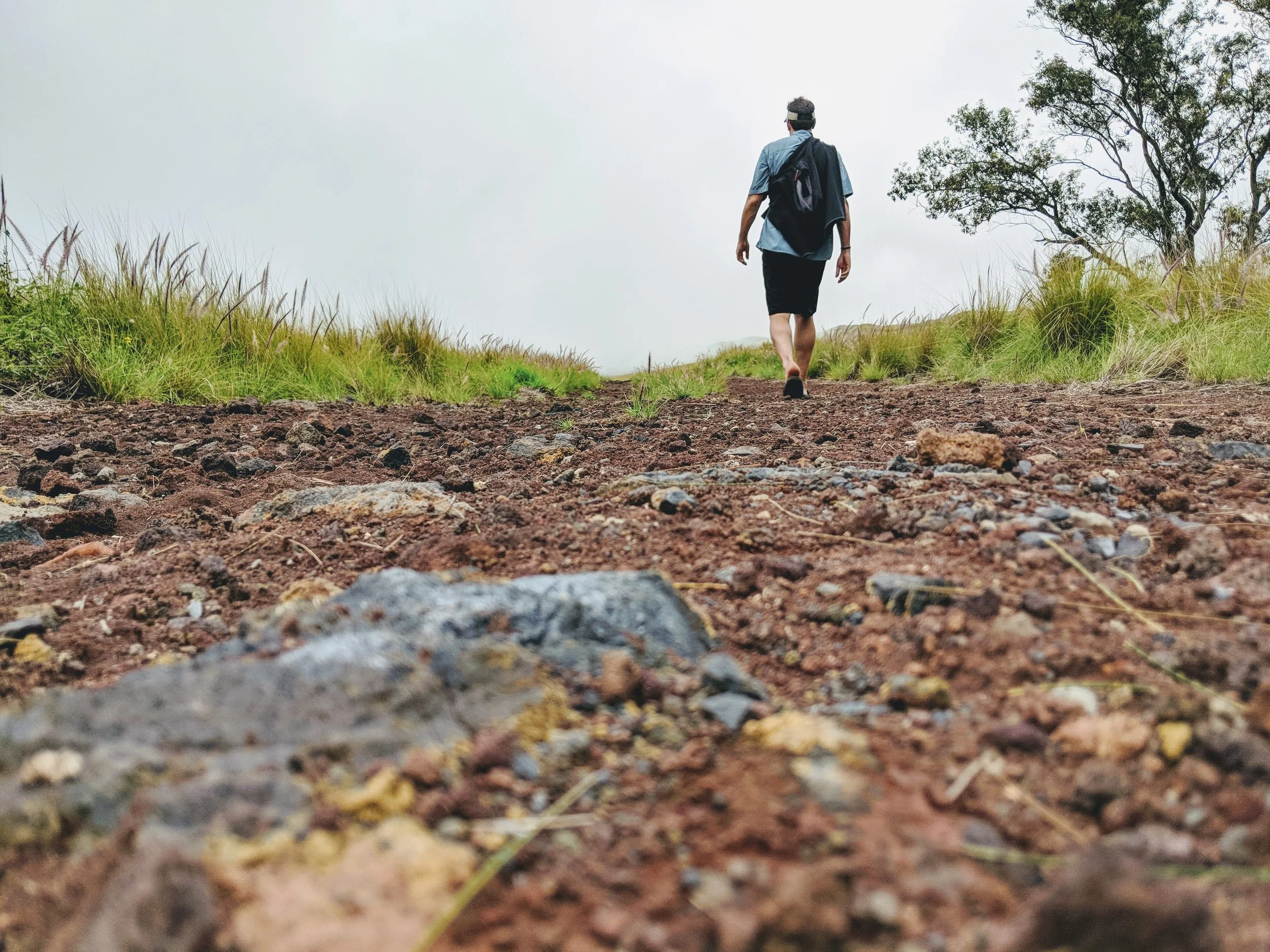 Path to Enlightenment - Geoff Rhodes (2).jpg