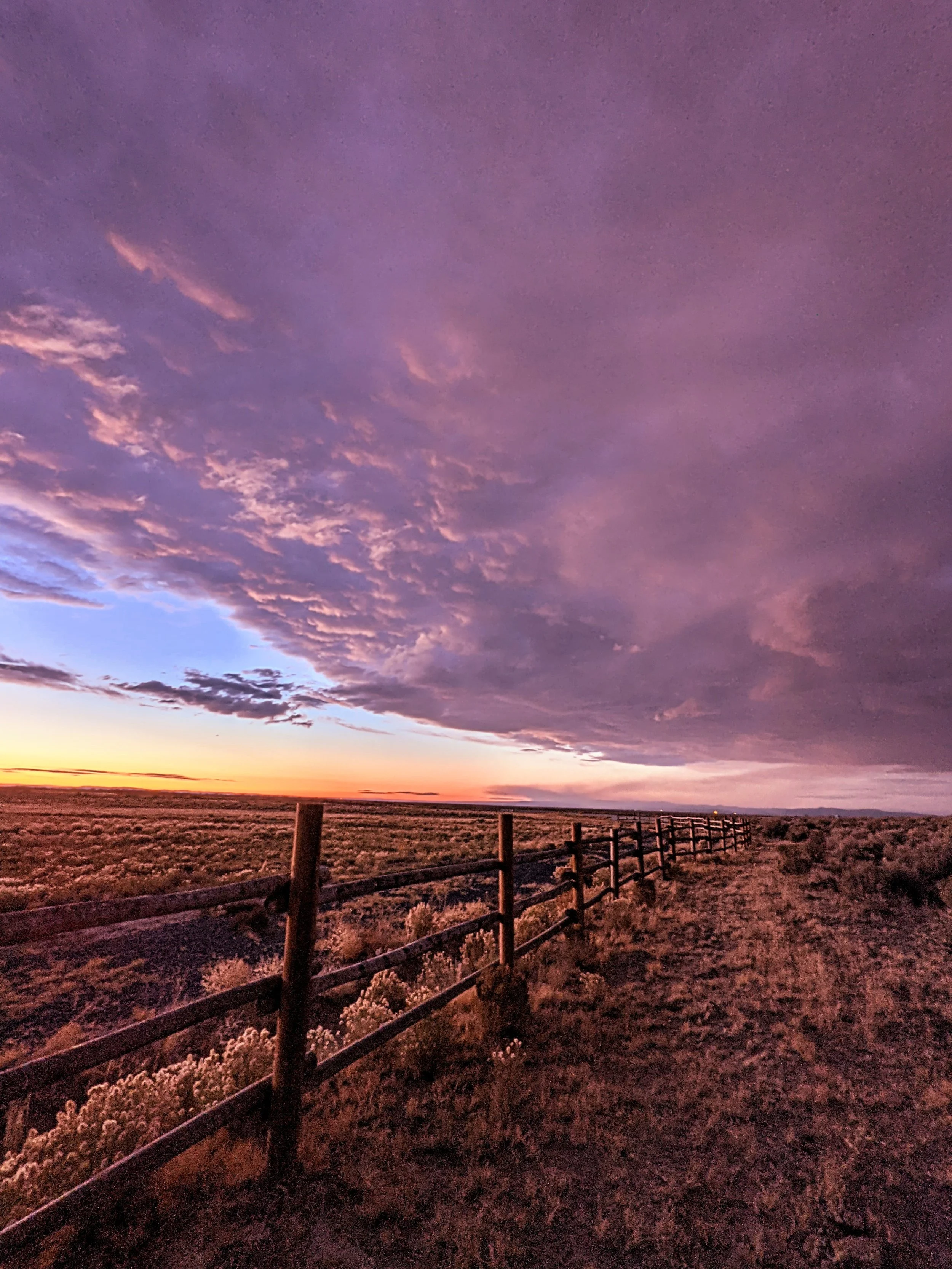 Fence Post Porn - Geoff Rhodes (39).jpg