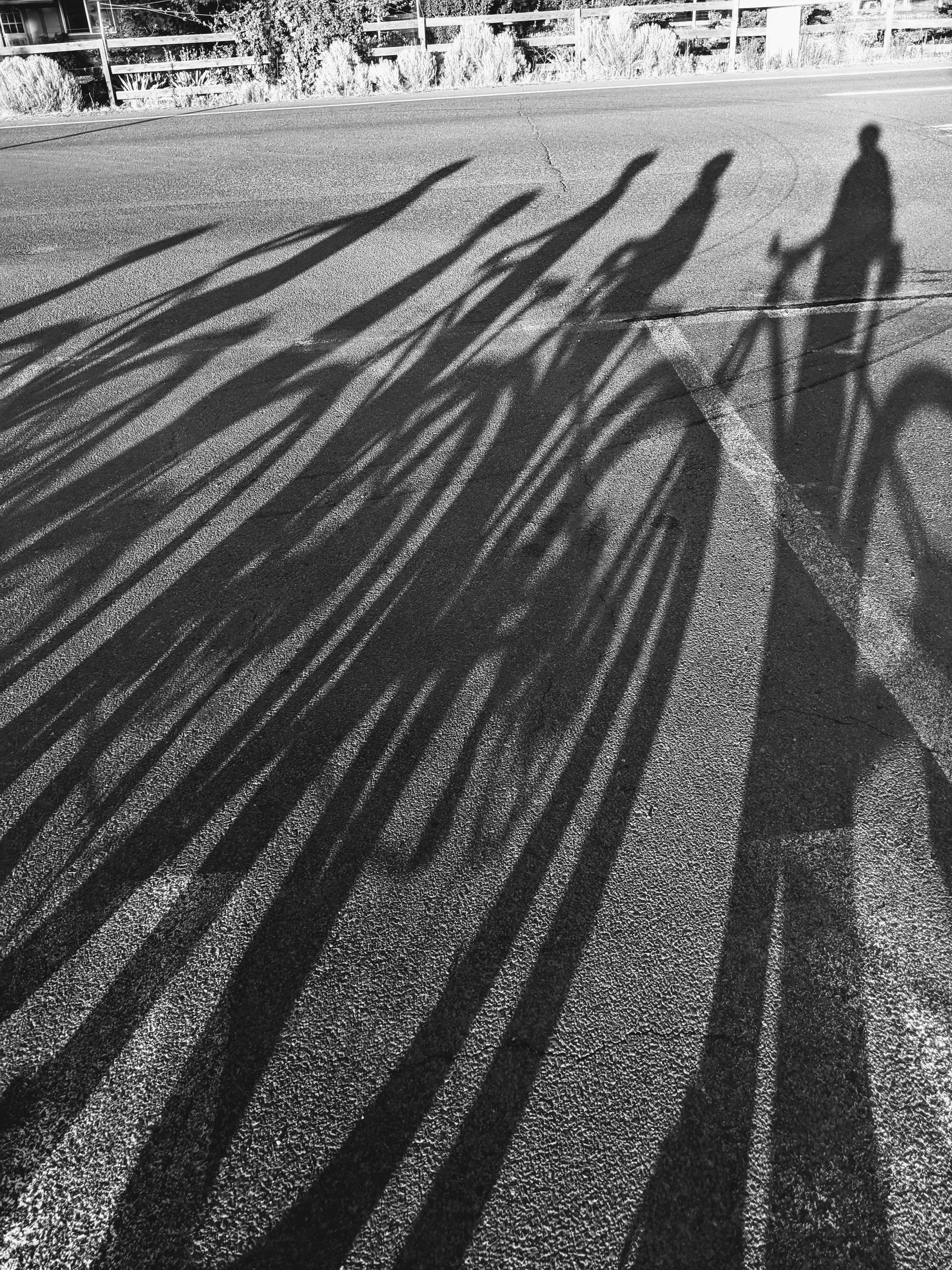 Shadow Games - Geoff Rhodes (35).jpg