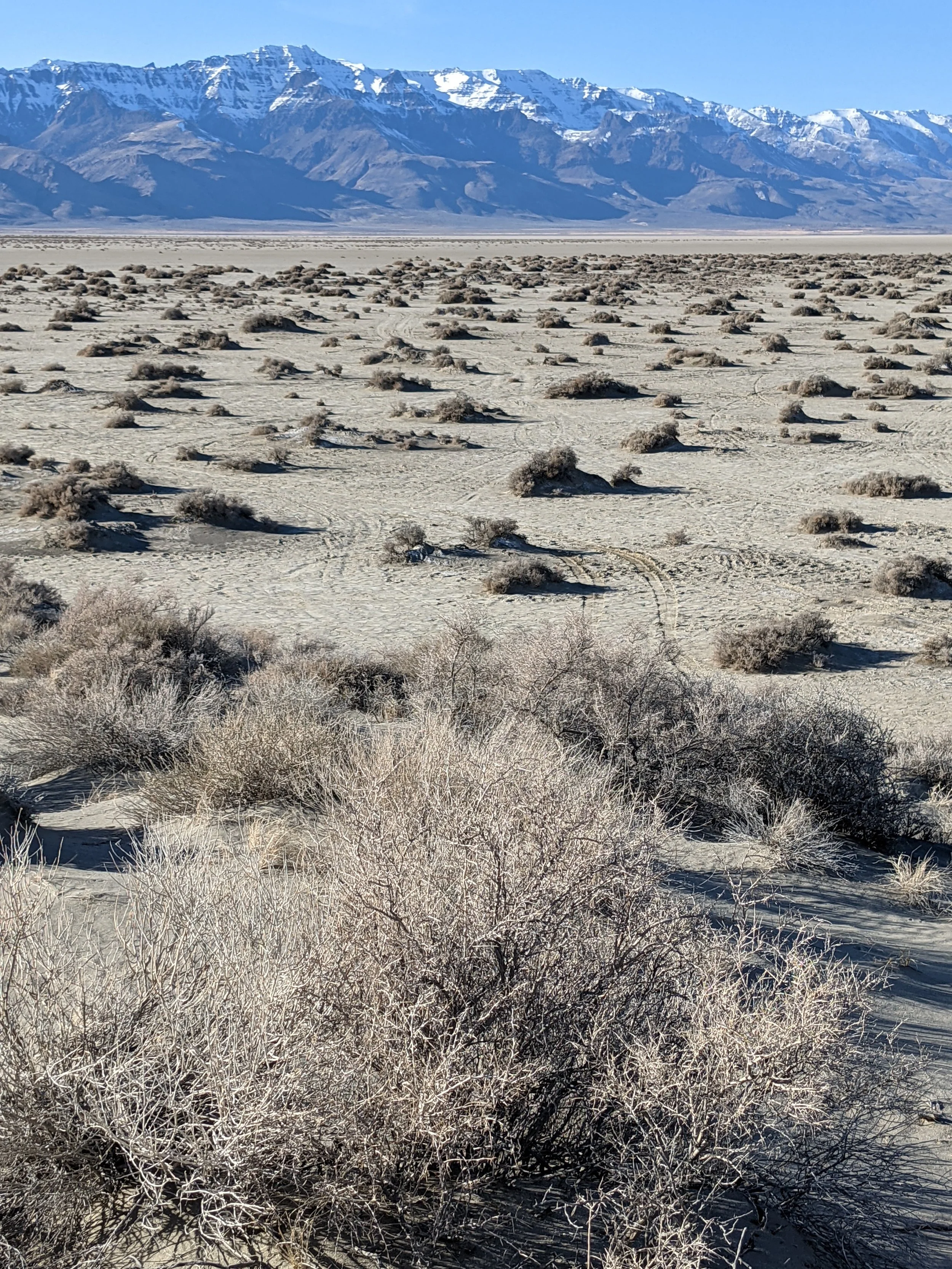 Desert Solitude - landscape - Geoff Rhodes (34).jpg