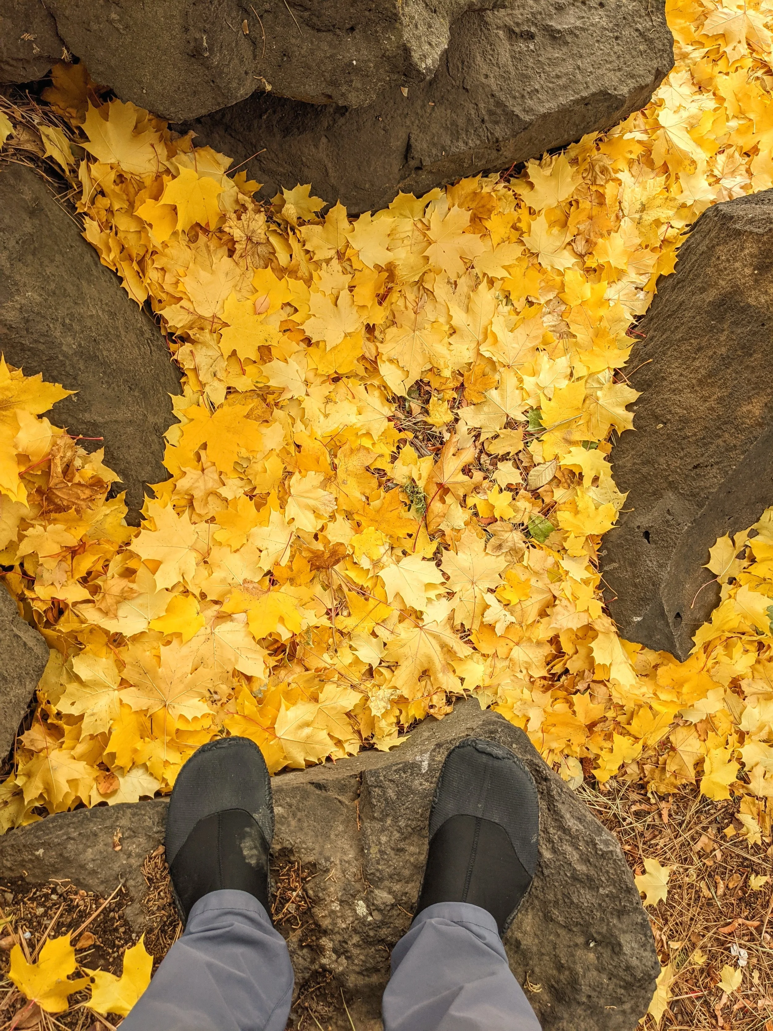 Tale of Two Soles - Geoff Rhodes (41).jpg