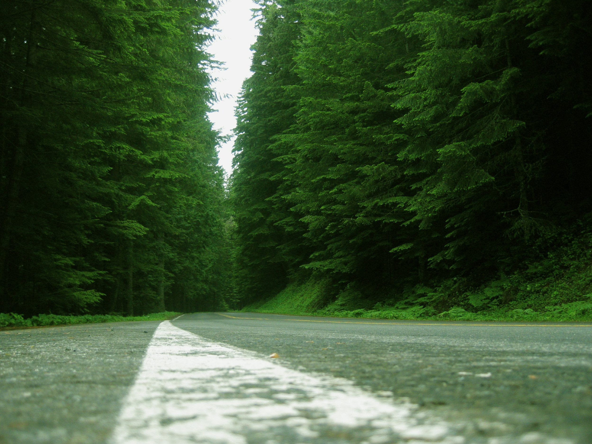 Life on the Road - Geoff Rhodes (20).JPG