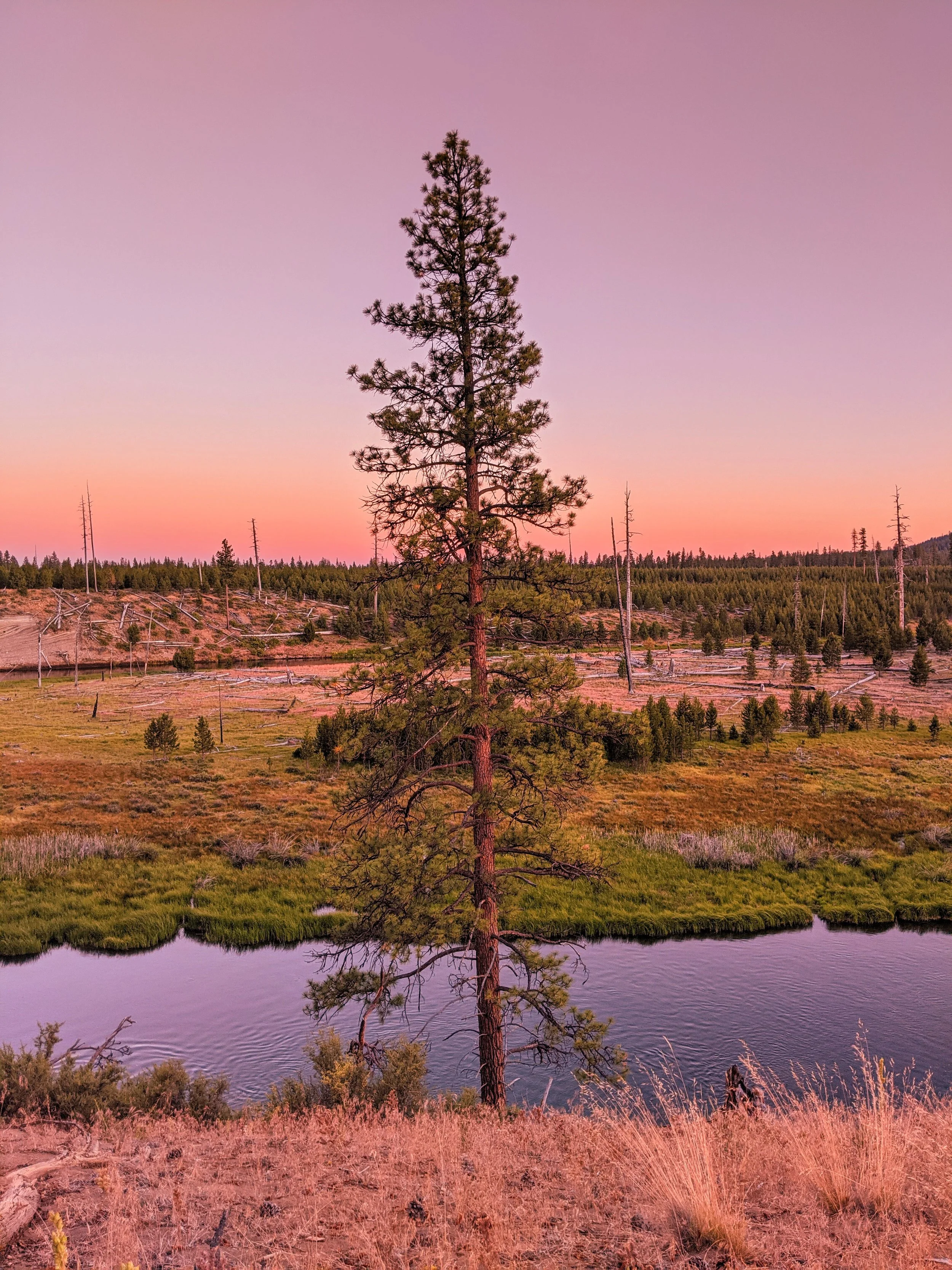 Killer Sunsets - Geoff Rhodes (126).jpg