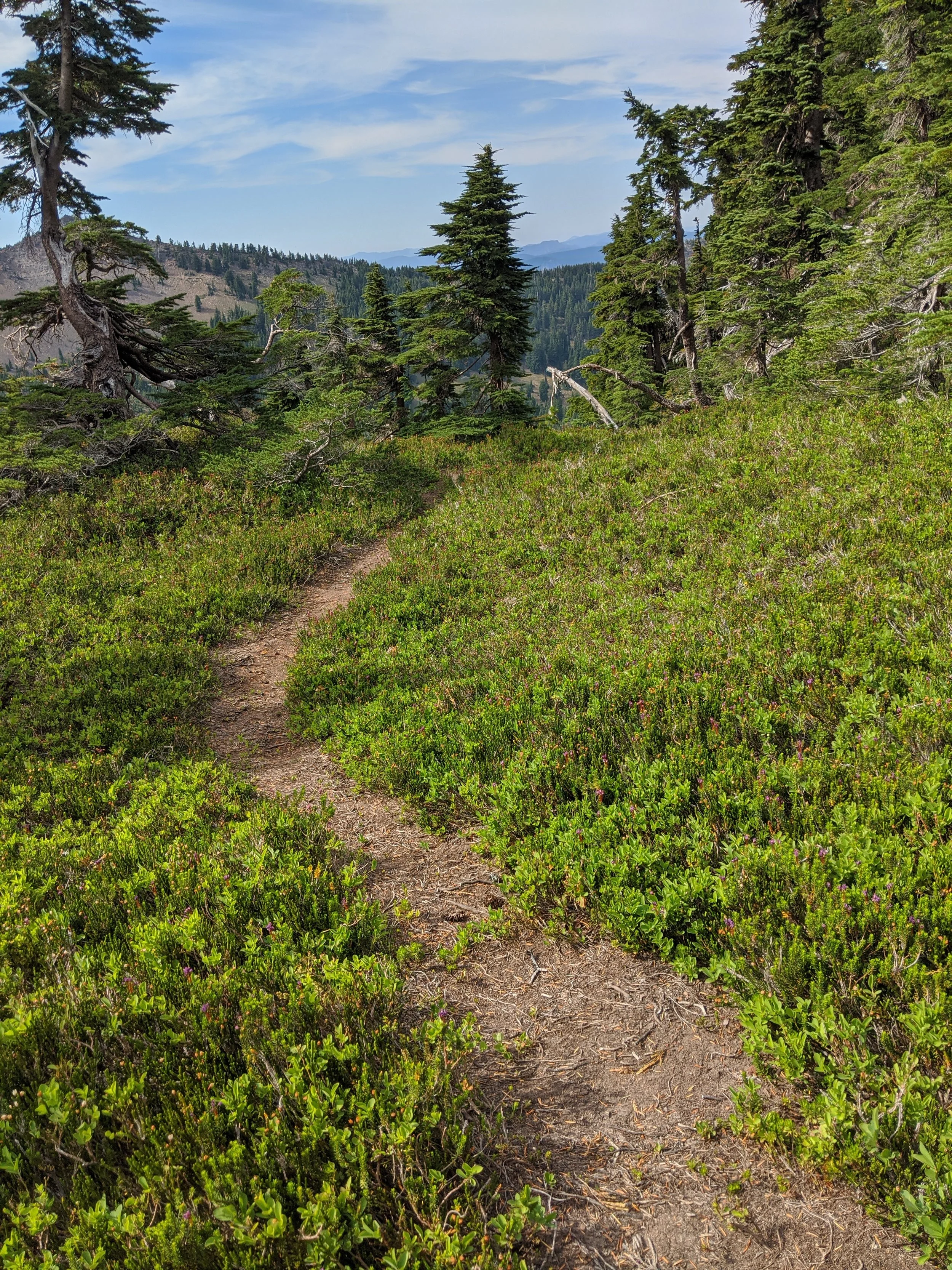 Path to Enlightenment - Geoff Rhodes (15).jpg