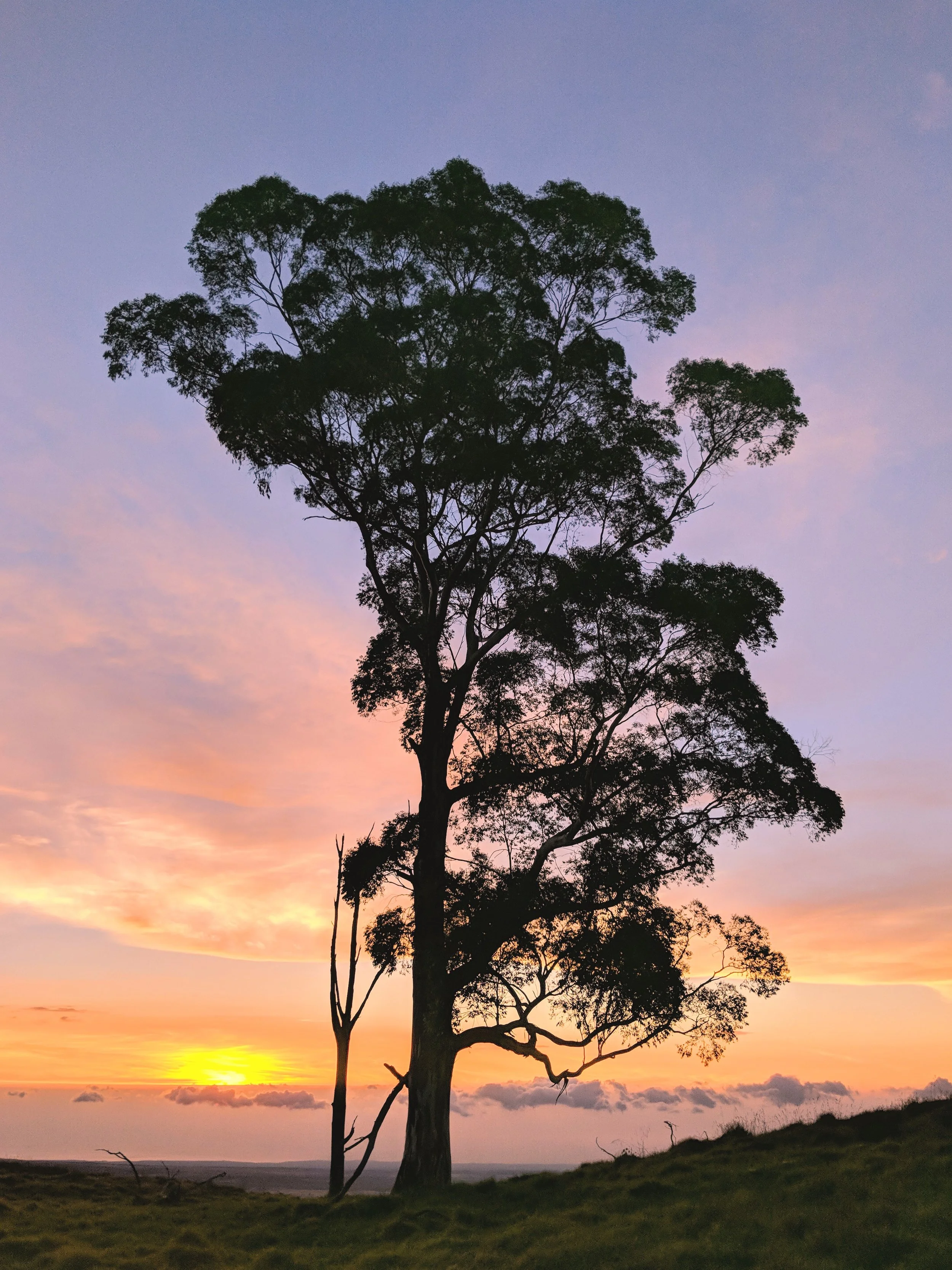 I Love your Silhouette - Geoff Rhodes (46).jpg