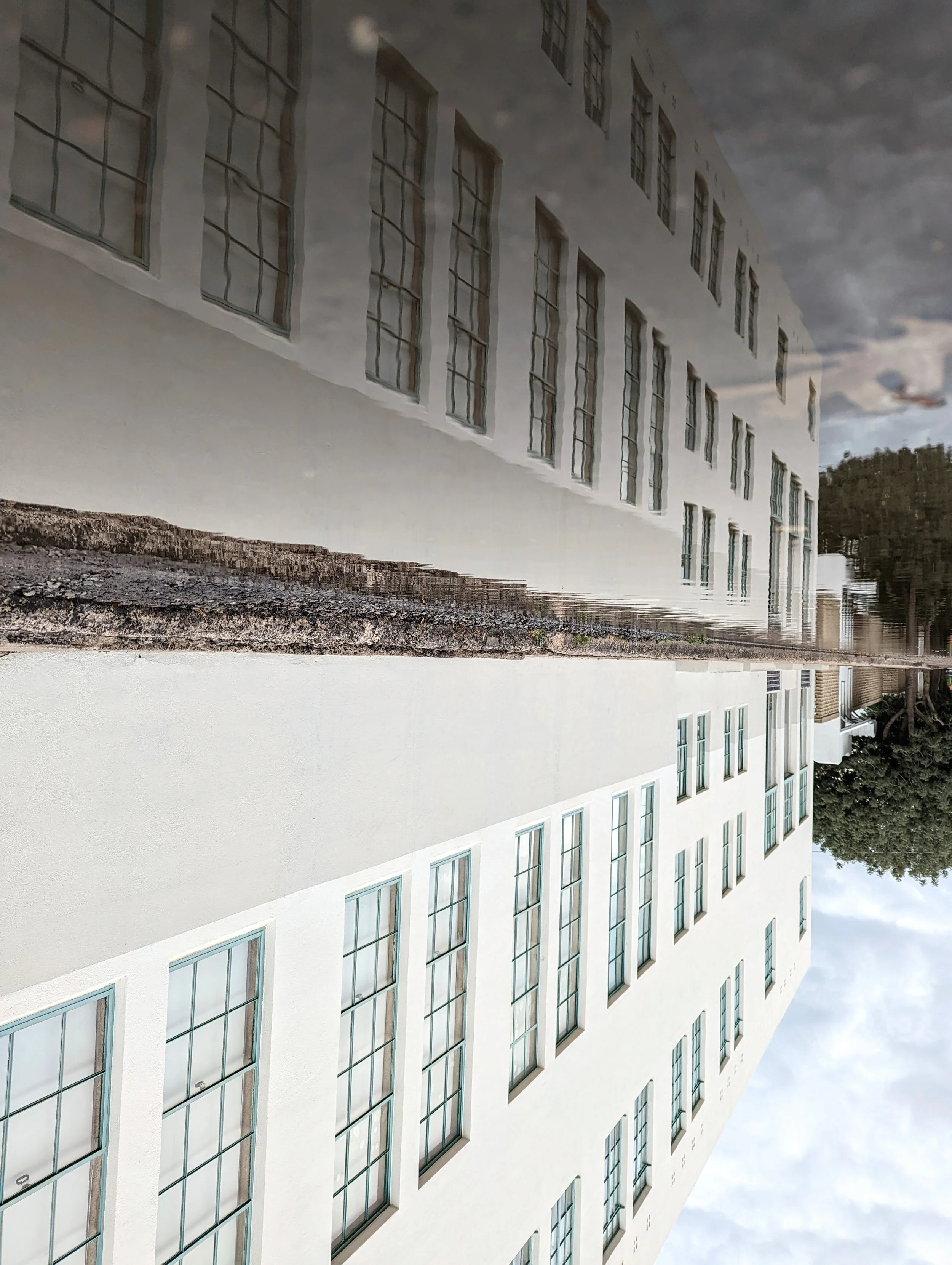 The World Around Me - Geoff Rhodes  (30).jpg