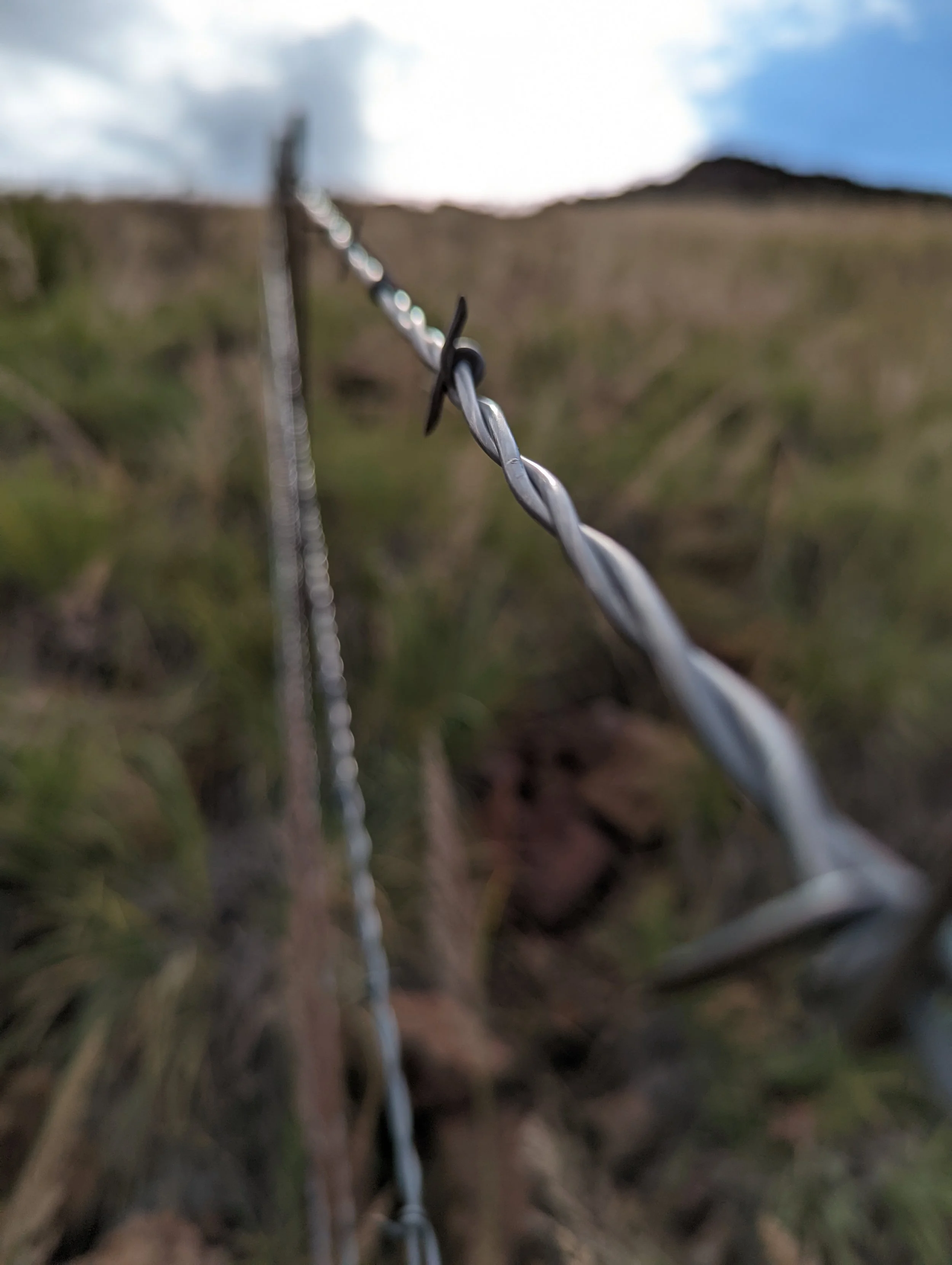 Fence Post Porn - Geoff Rhodes 2 (2).jpg