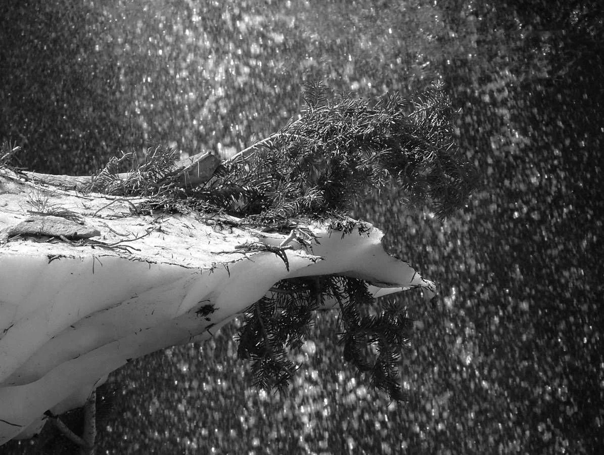 Composition - Geoff Rhodes (69).jpg