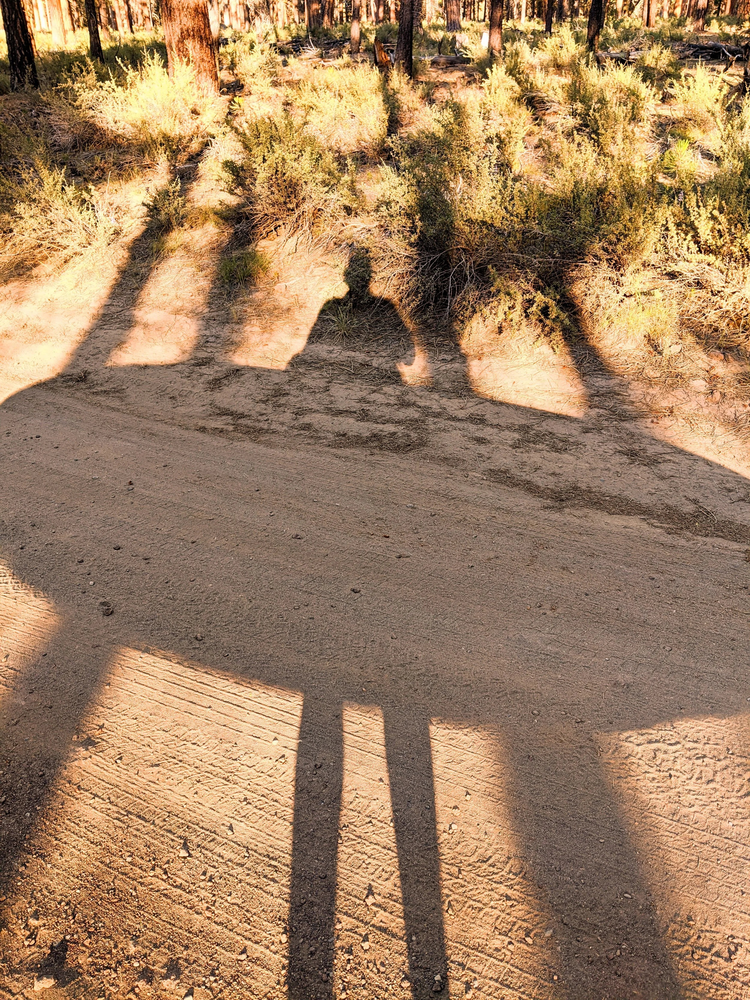 Shadow Games - Geoff Rhodes (34).jpg