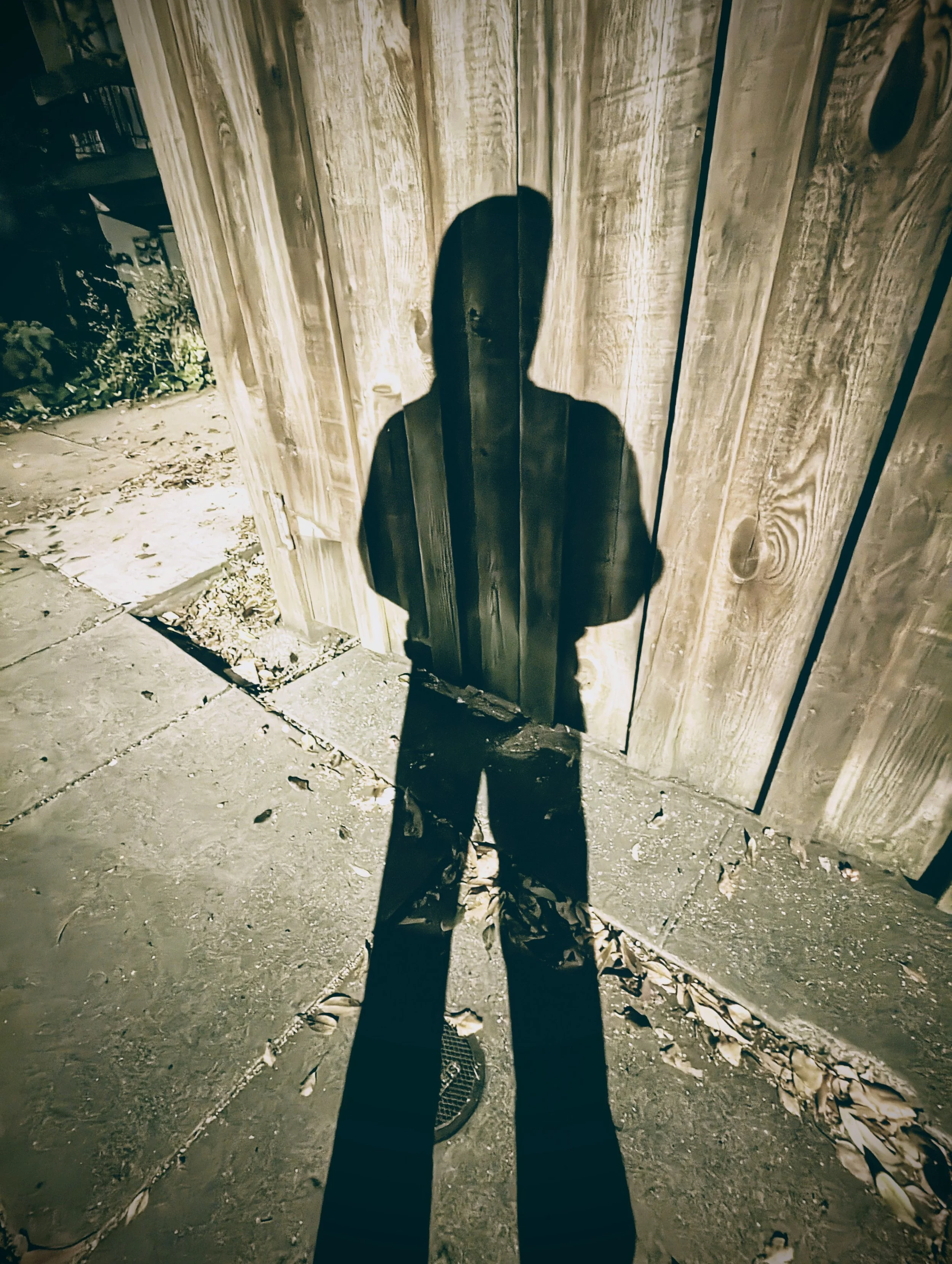 Shadow Games - Geoff Rhodes - 2023 (3).jpg