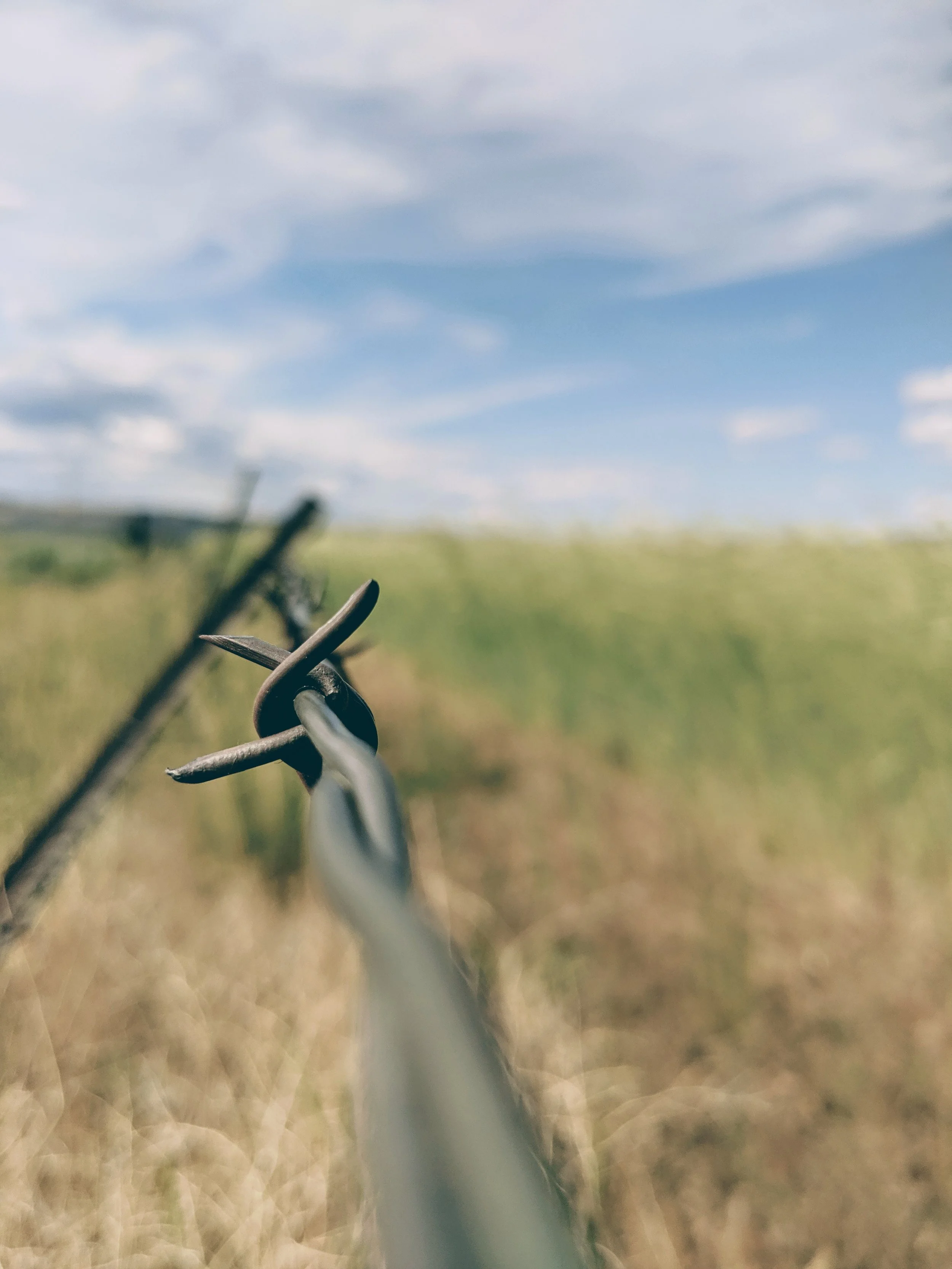 Fence Post Porn - Geoff Rhodes (6).jpg