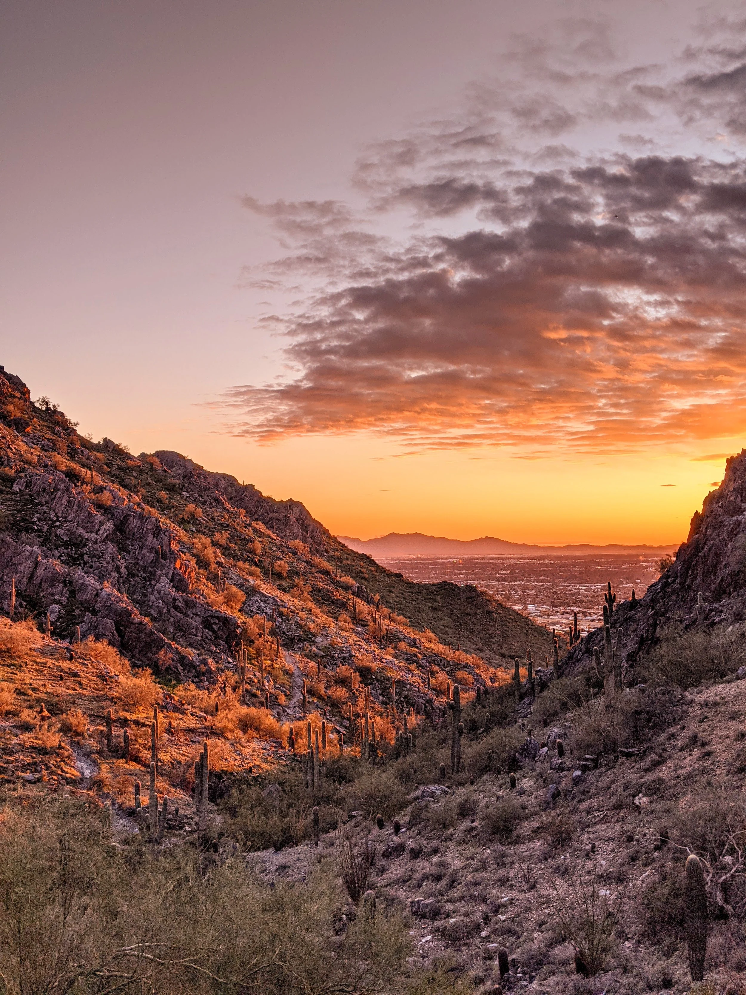 Killer Sunsets - Geoff Rhodes (119).jpg